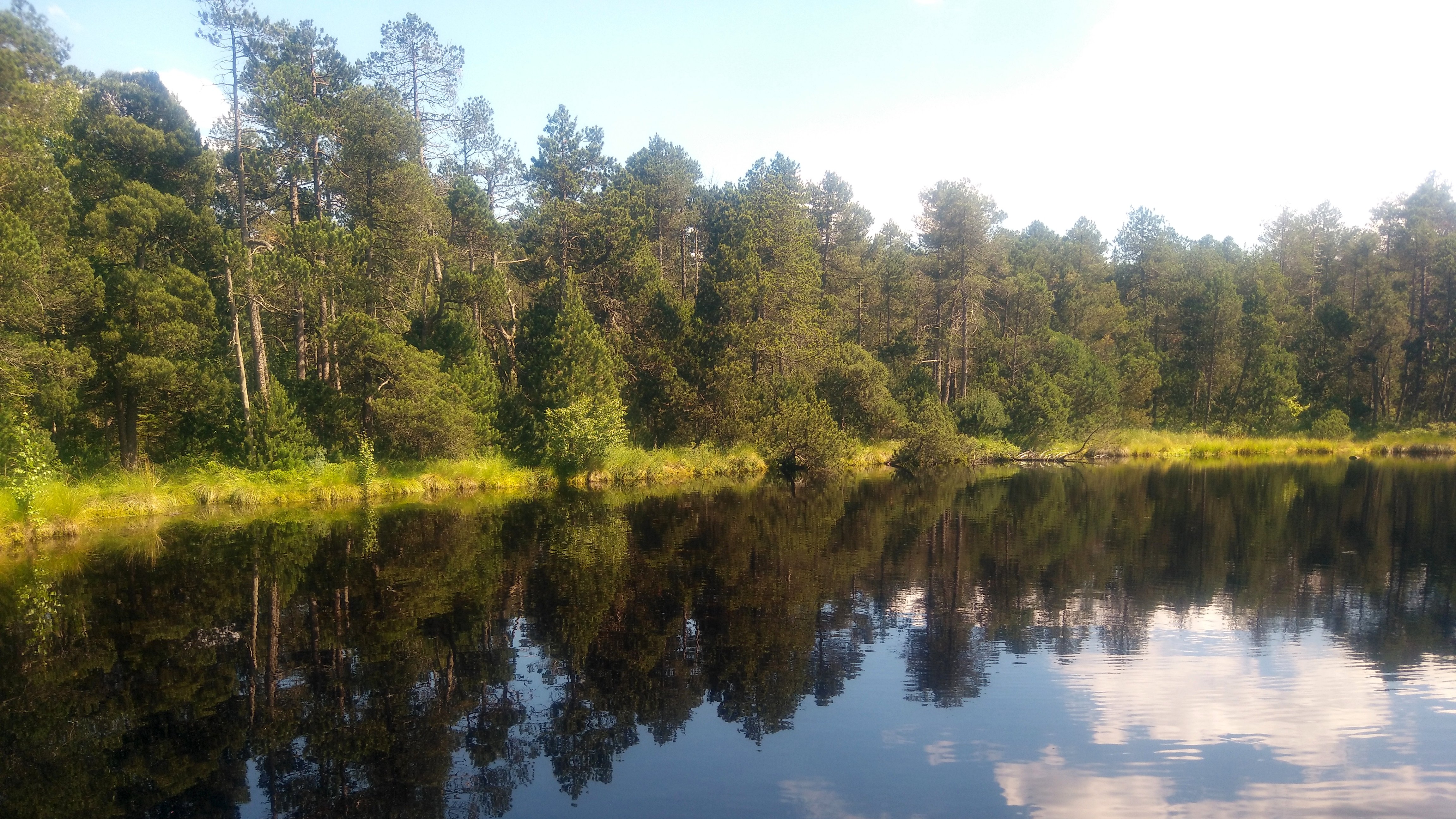 jezero