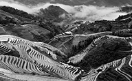 _JVW2438_192.jpg