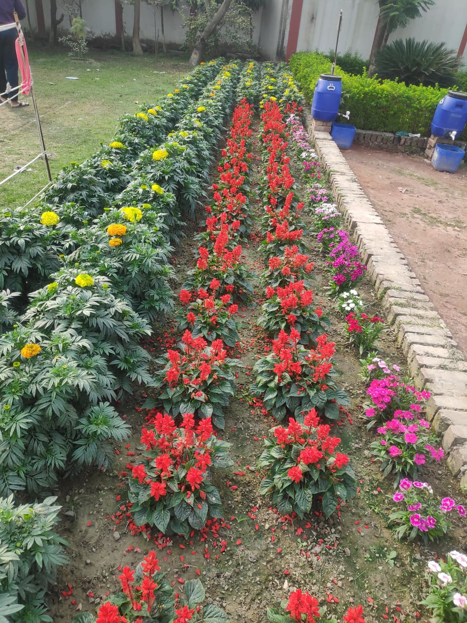 1photo 1.jpg