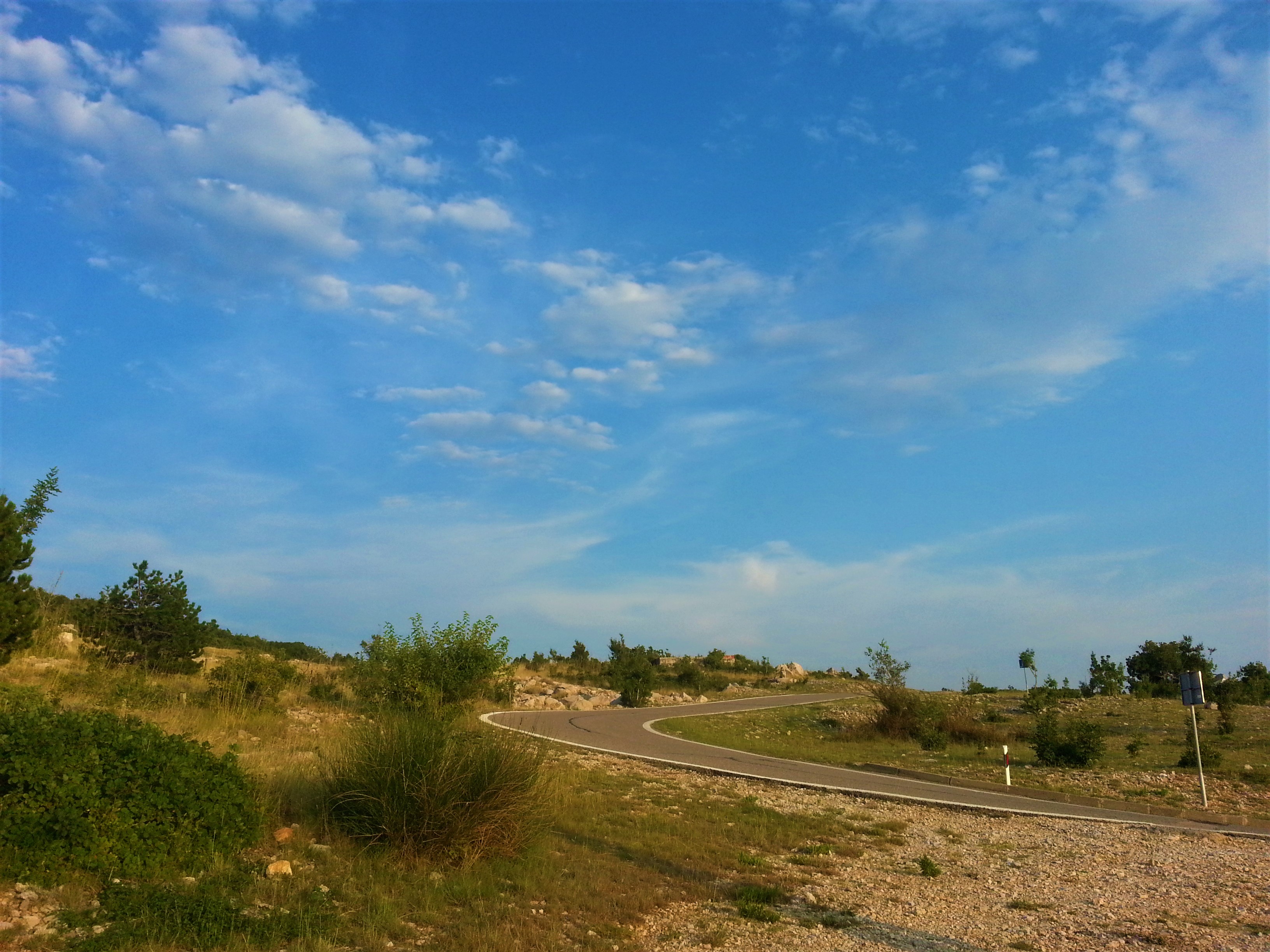 20180729_192200 (2).jpg