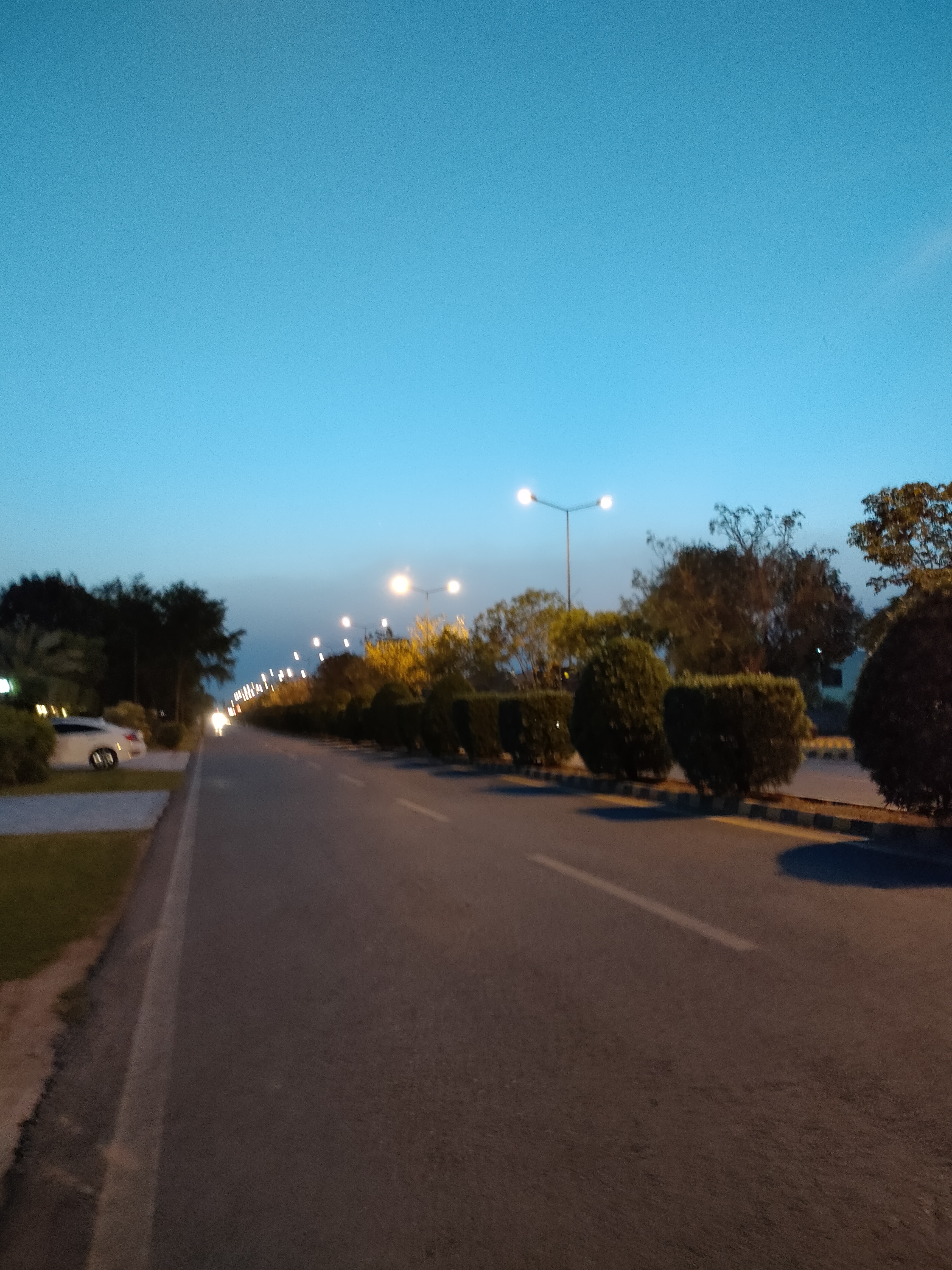 IMG20210605192715.jpg