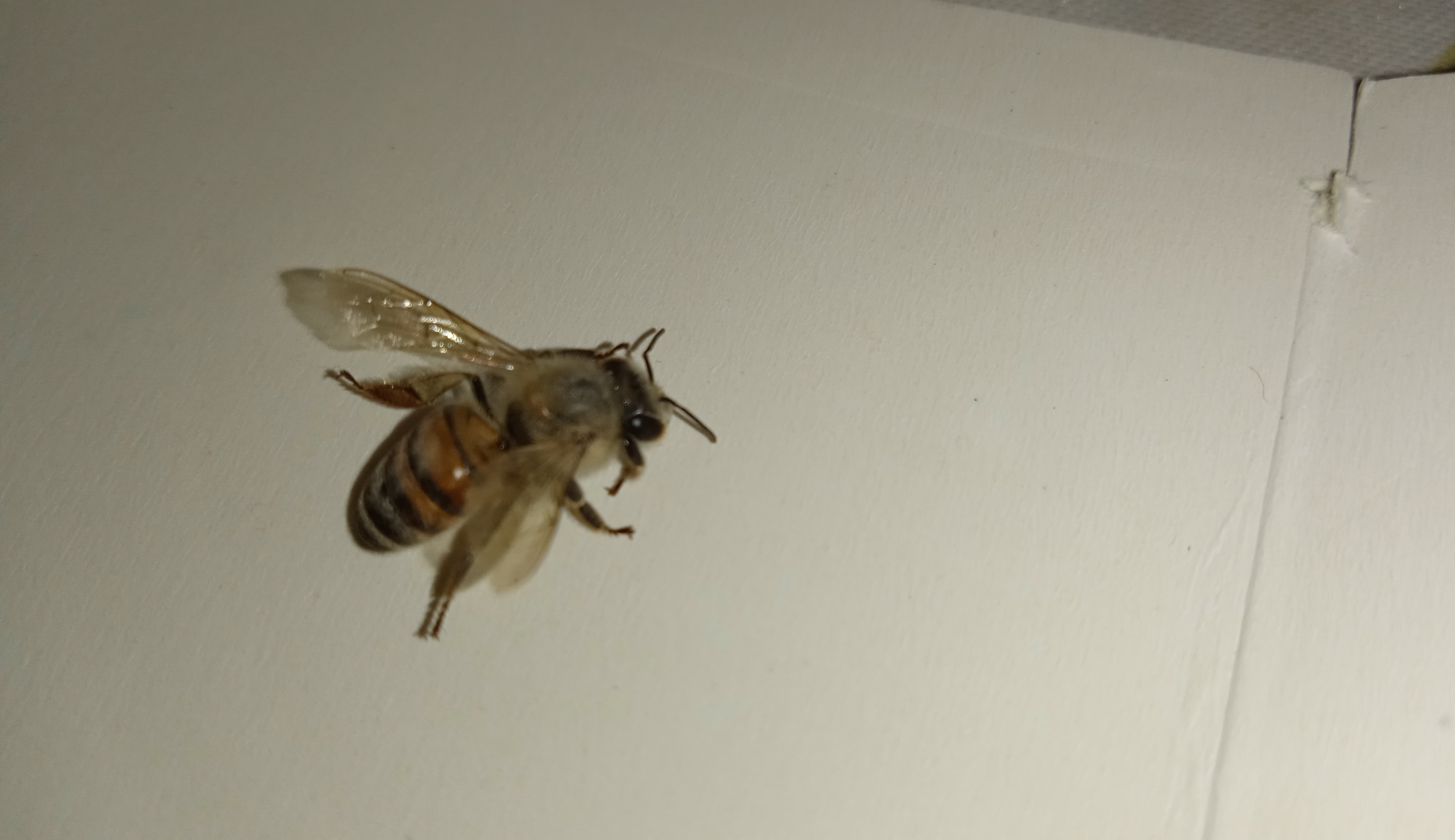 IMG_20210419_143524.jpg
