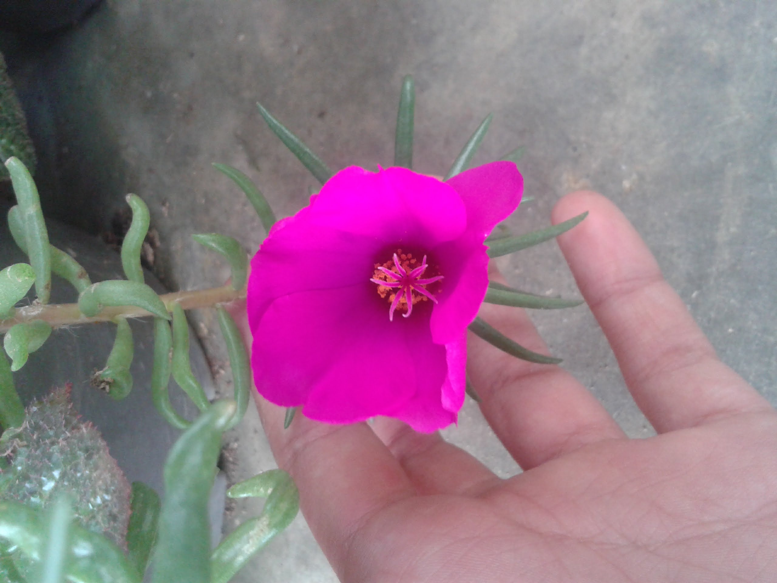 20190511_114538.jpg