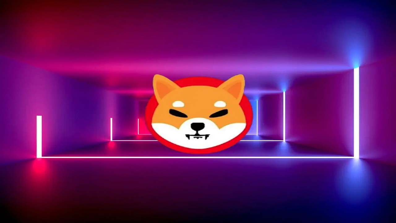 shiba-game.jpg