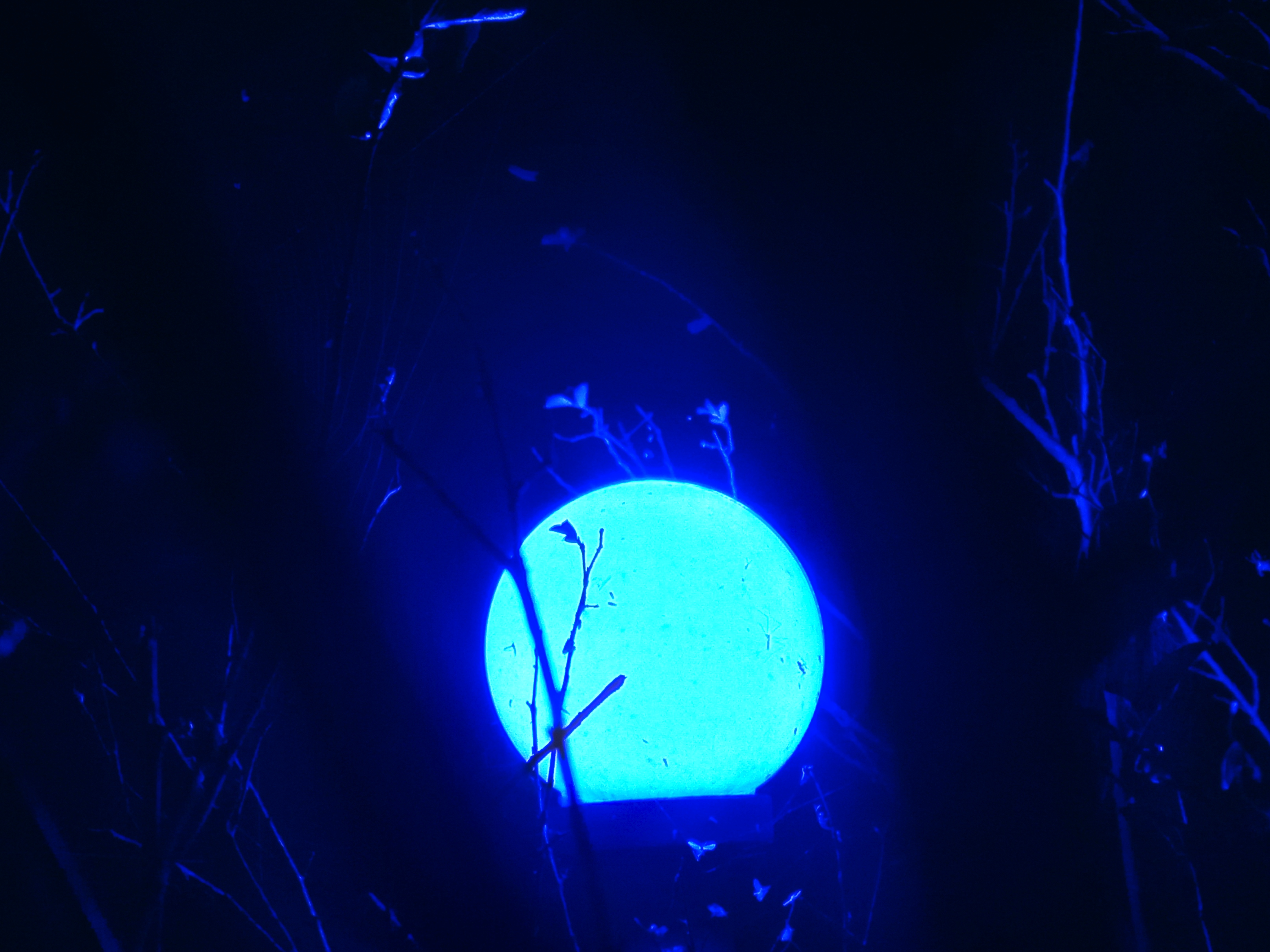 20221216_182504_edit_682159388892691.jpg