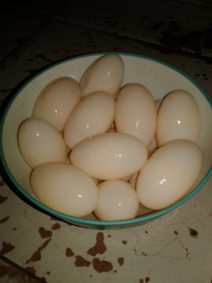 WhatsApp Image 2019-08-04 at 12.48.06 PM.jpeg
