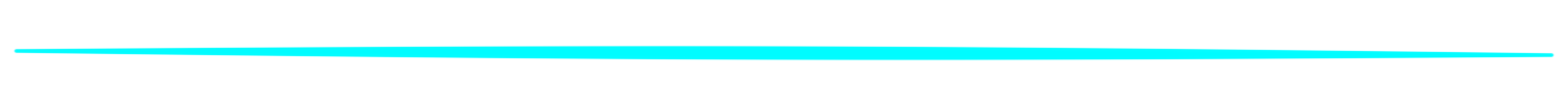 13 (1).png