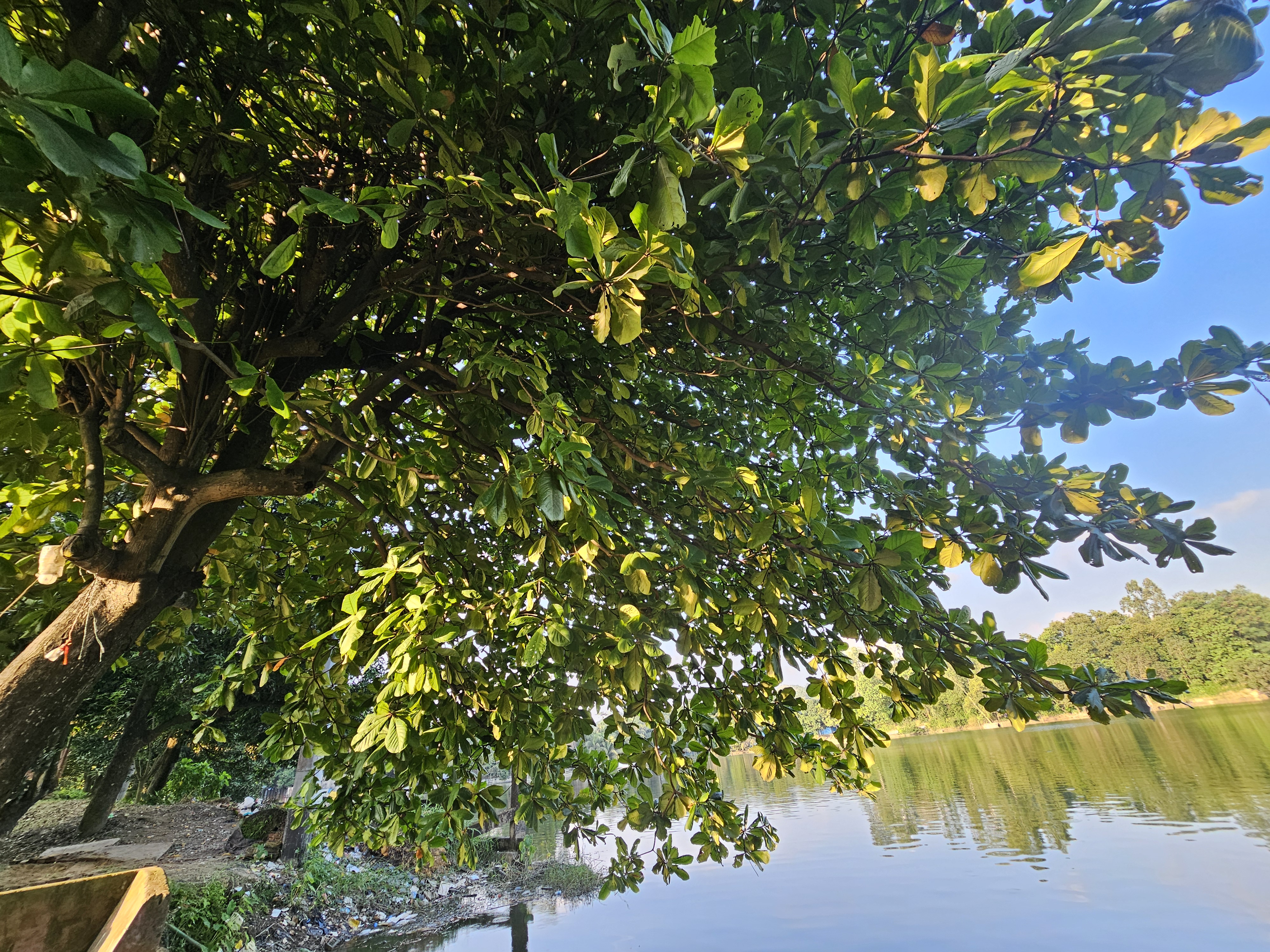 20260914_165419.jpg