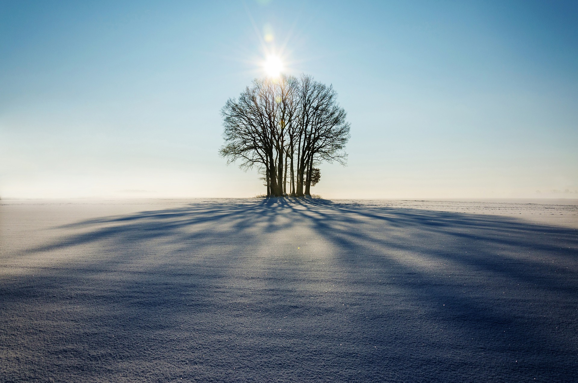 winter-1965902_1920.jpg