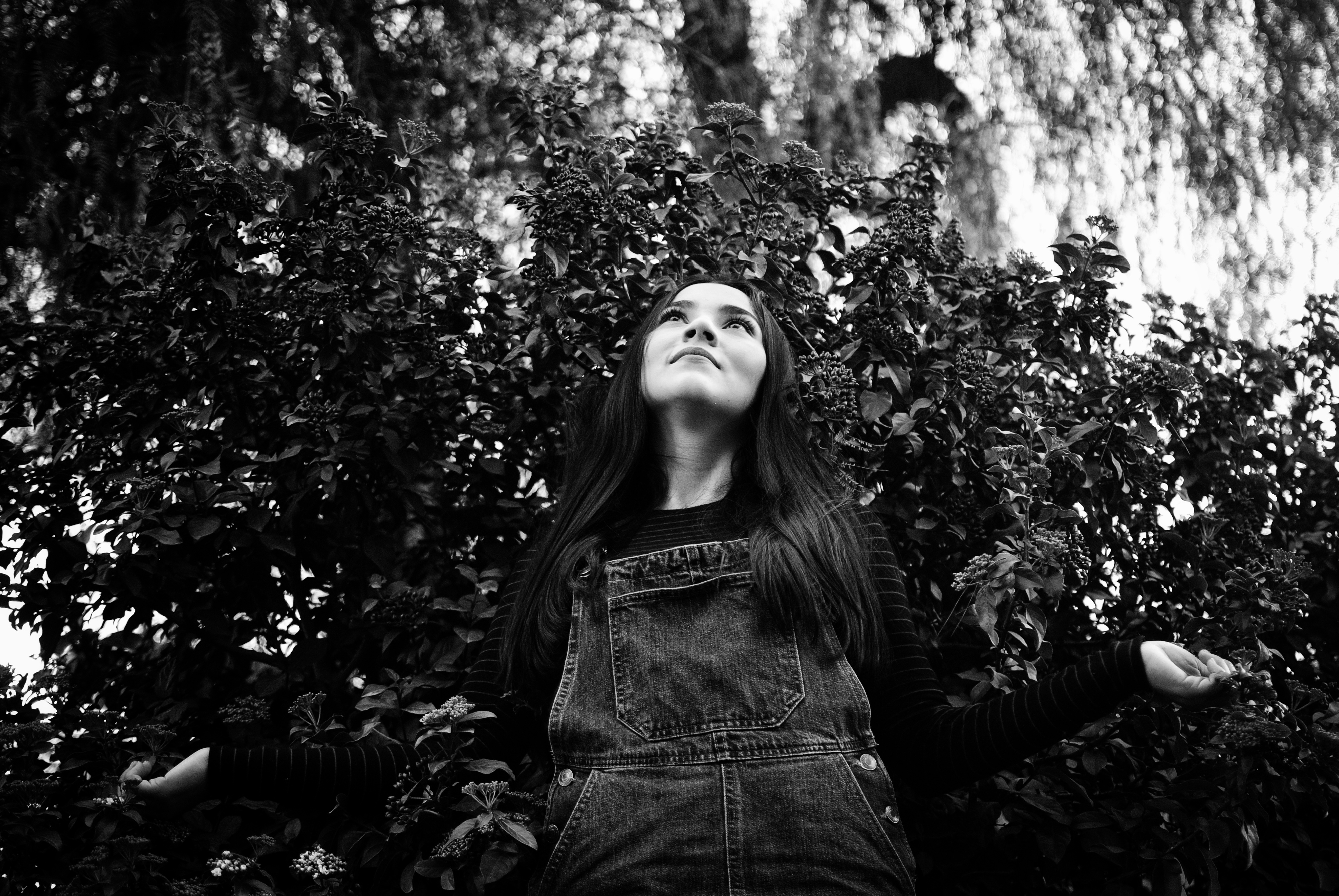 DSC_0904-01-01.jpeg
