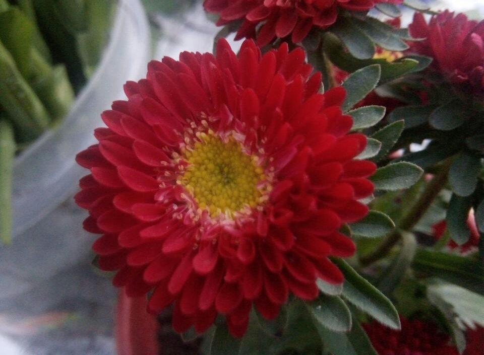 7ohP4GDMGPrUMp8dW6yuJTR9MKNu8P8DCXDU9qmmoAT5Fr4KRkhU2YNotrNwcRg5VGeCXoSUcXEZJTHaq26LSwGPRq8Jj3BJei4p-1.jpg