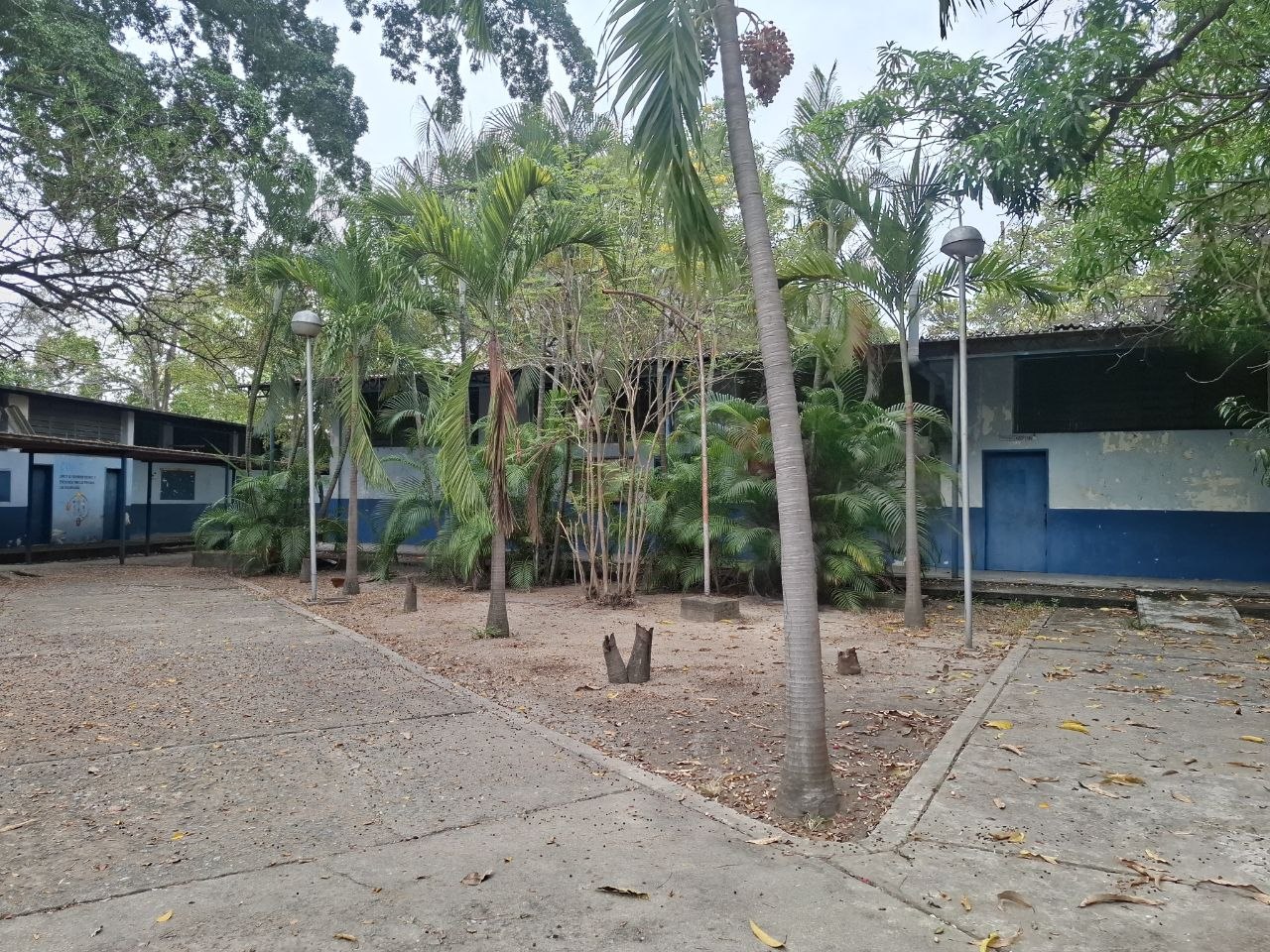 1001198239.jpg