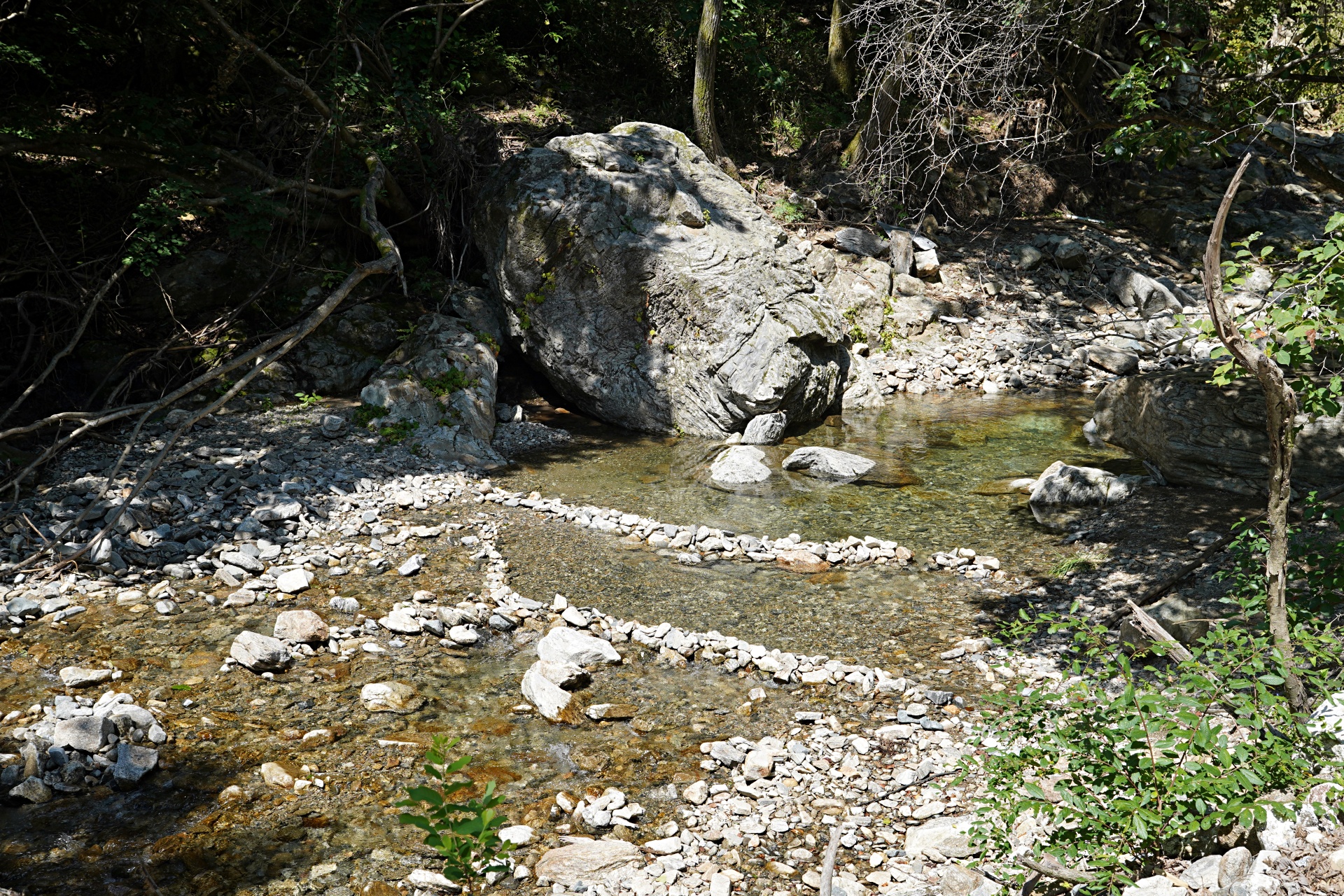 b-S260807-104442.jpg