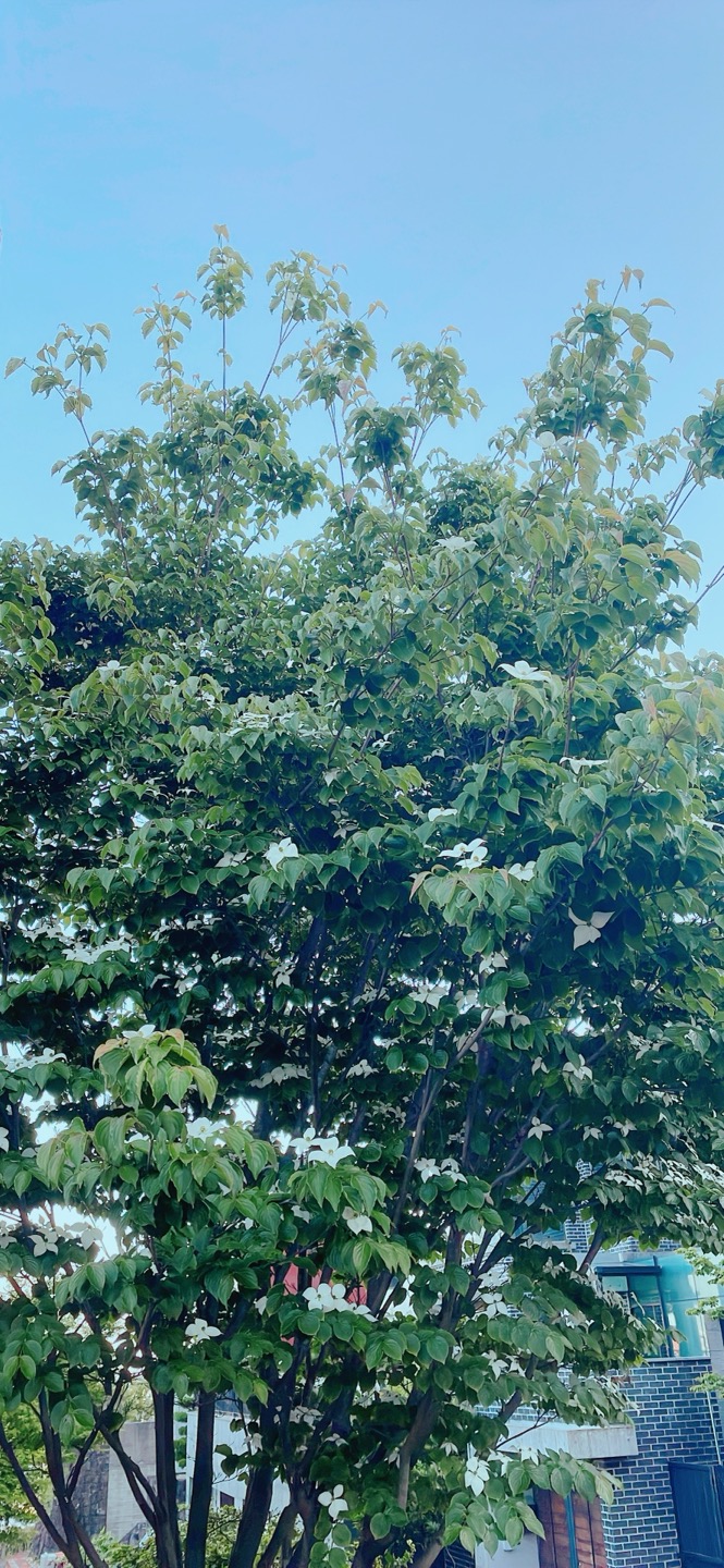 KakaoTalk_20260721_223006126.jpg