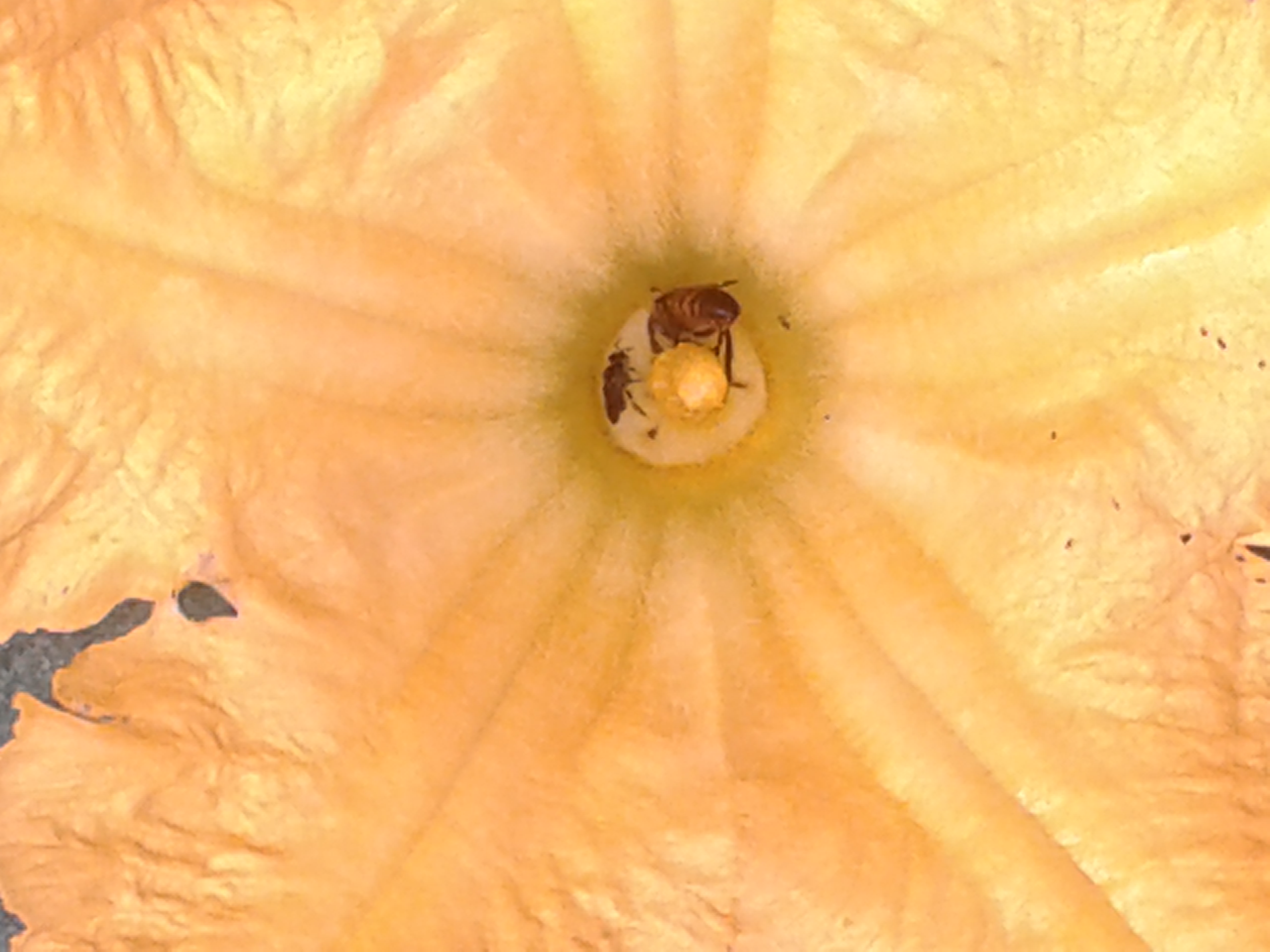 20180624_084128.jpg