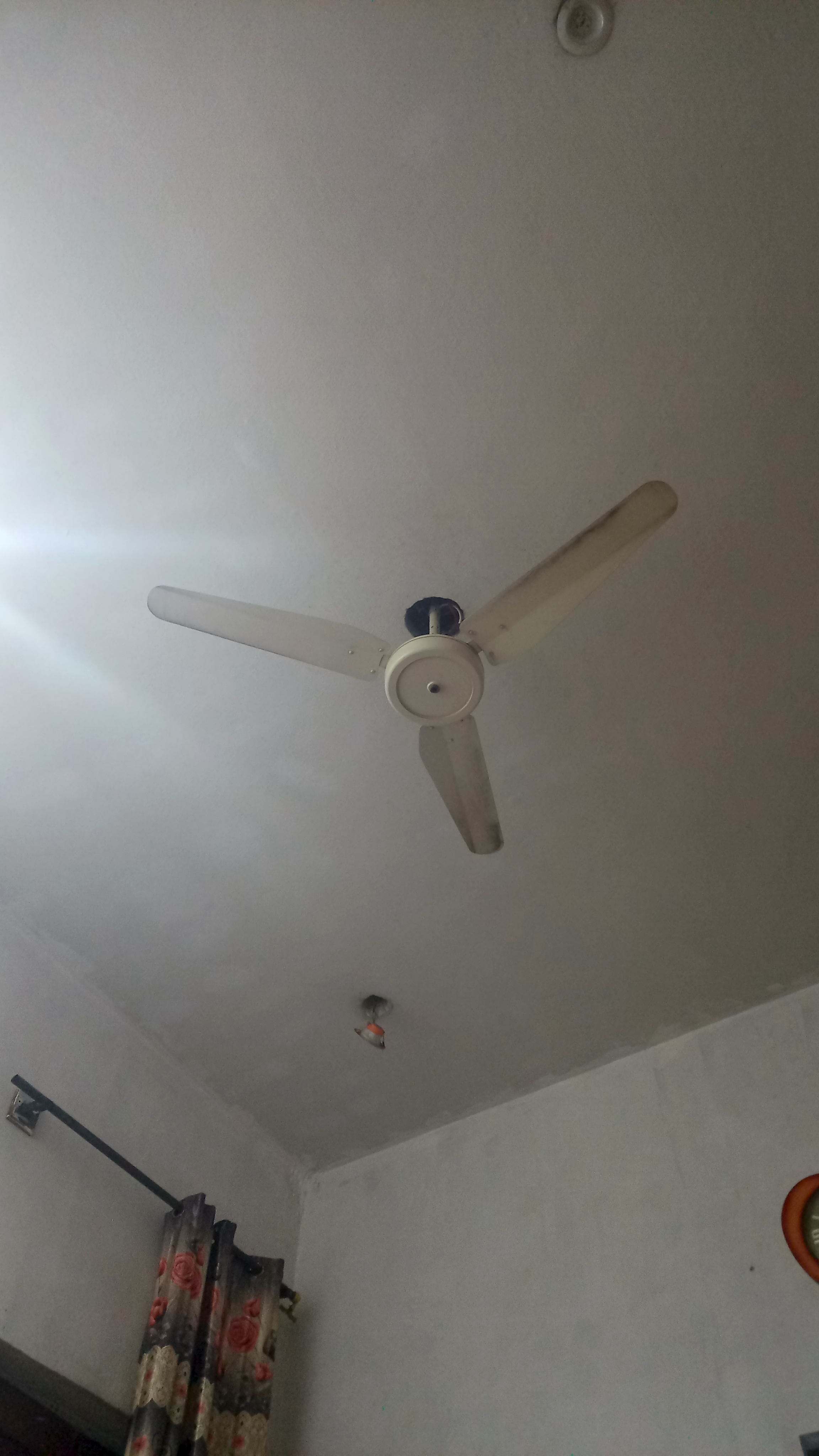 1000072719.jpg