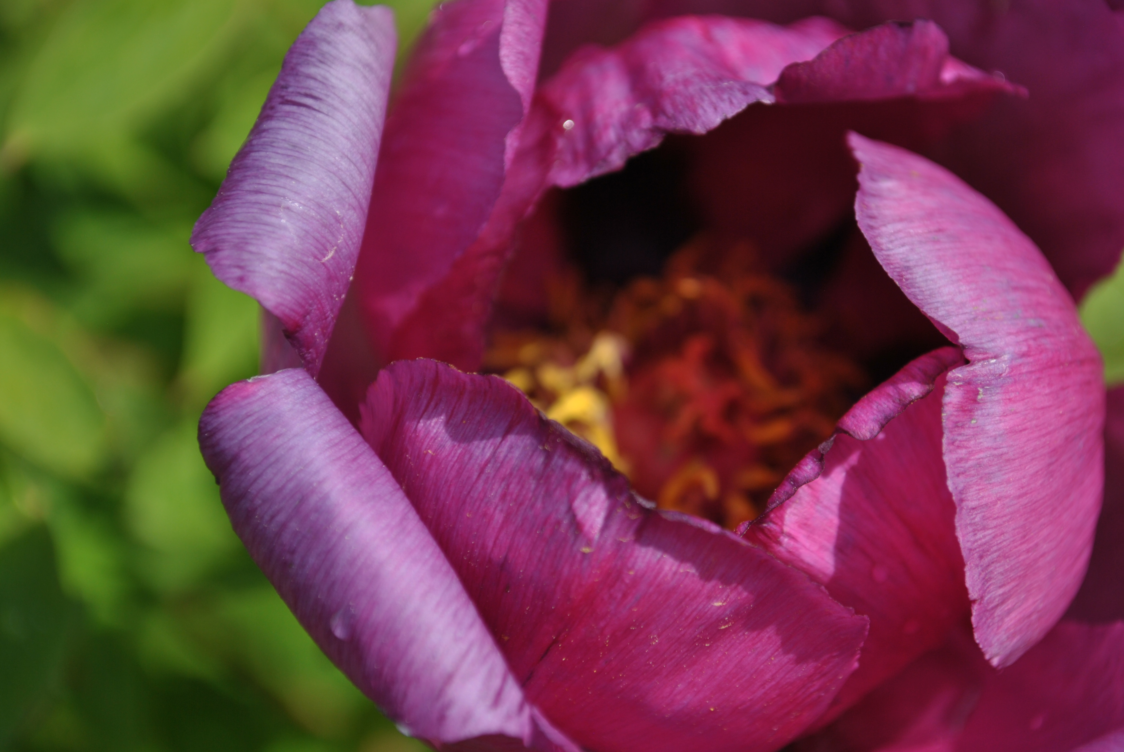 DSC_0901.JPG
