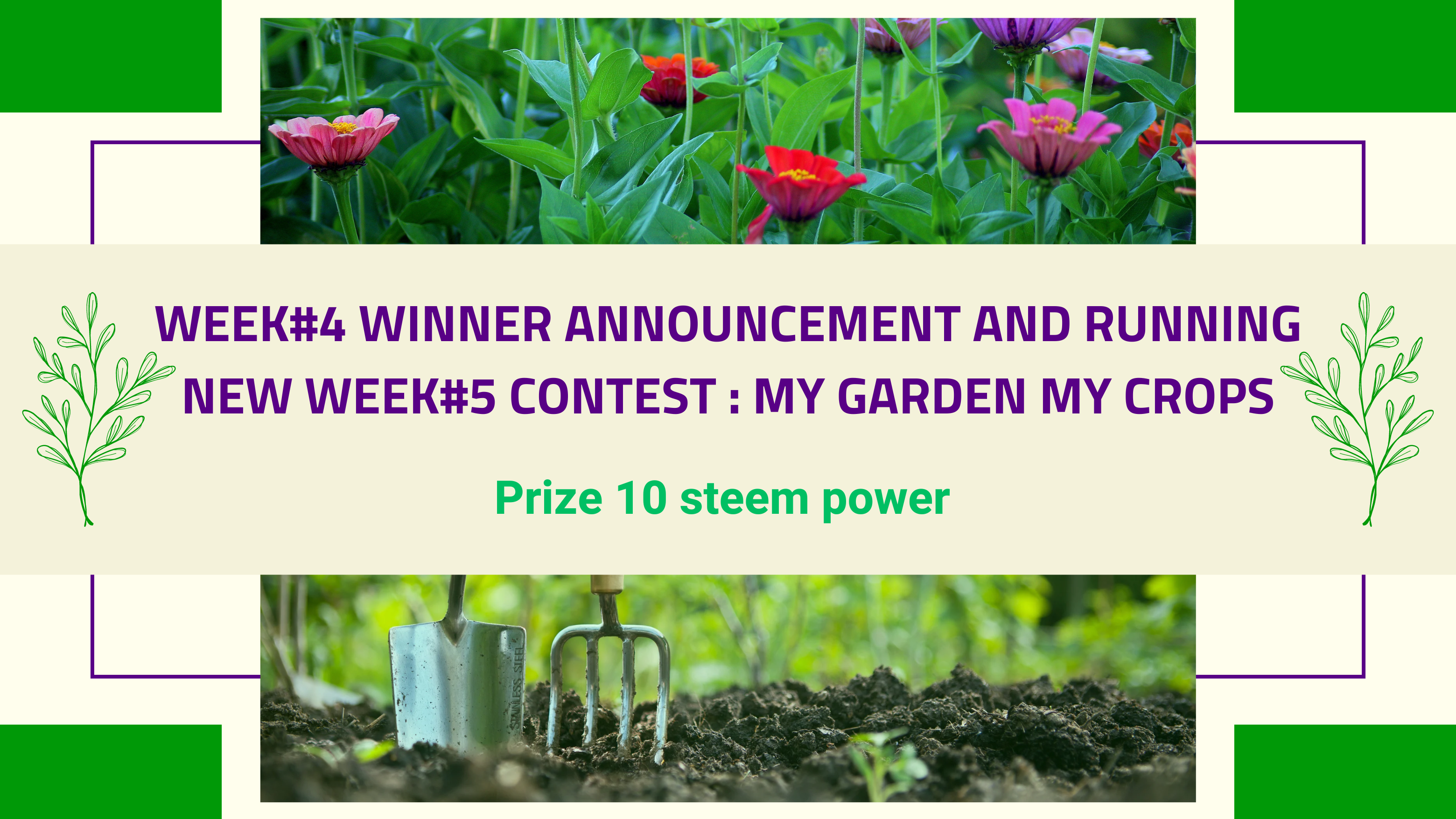 Contest my garden & ceops(3).png