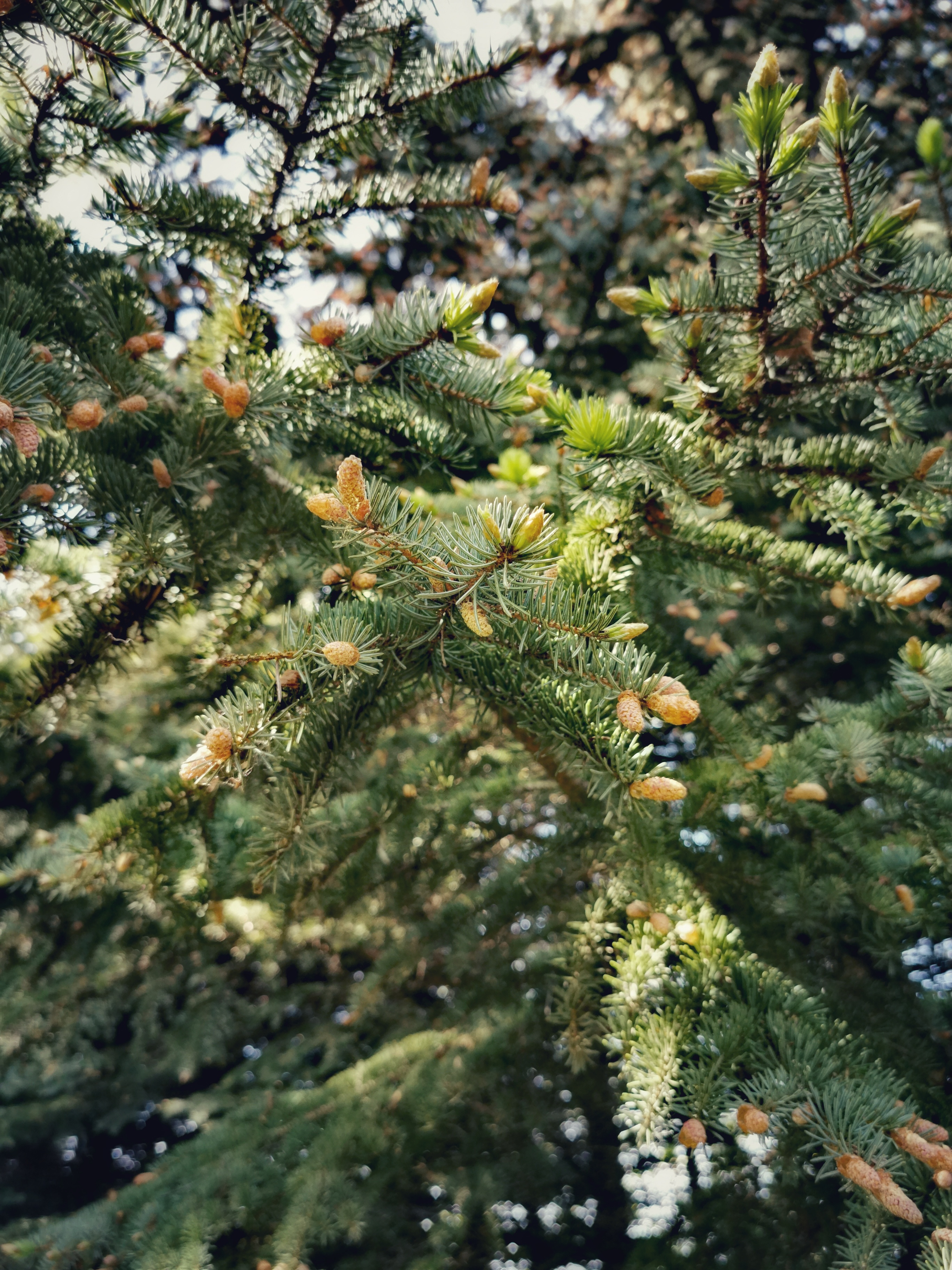 IMG_20200115_003751-01.jpeg