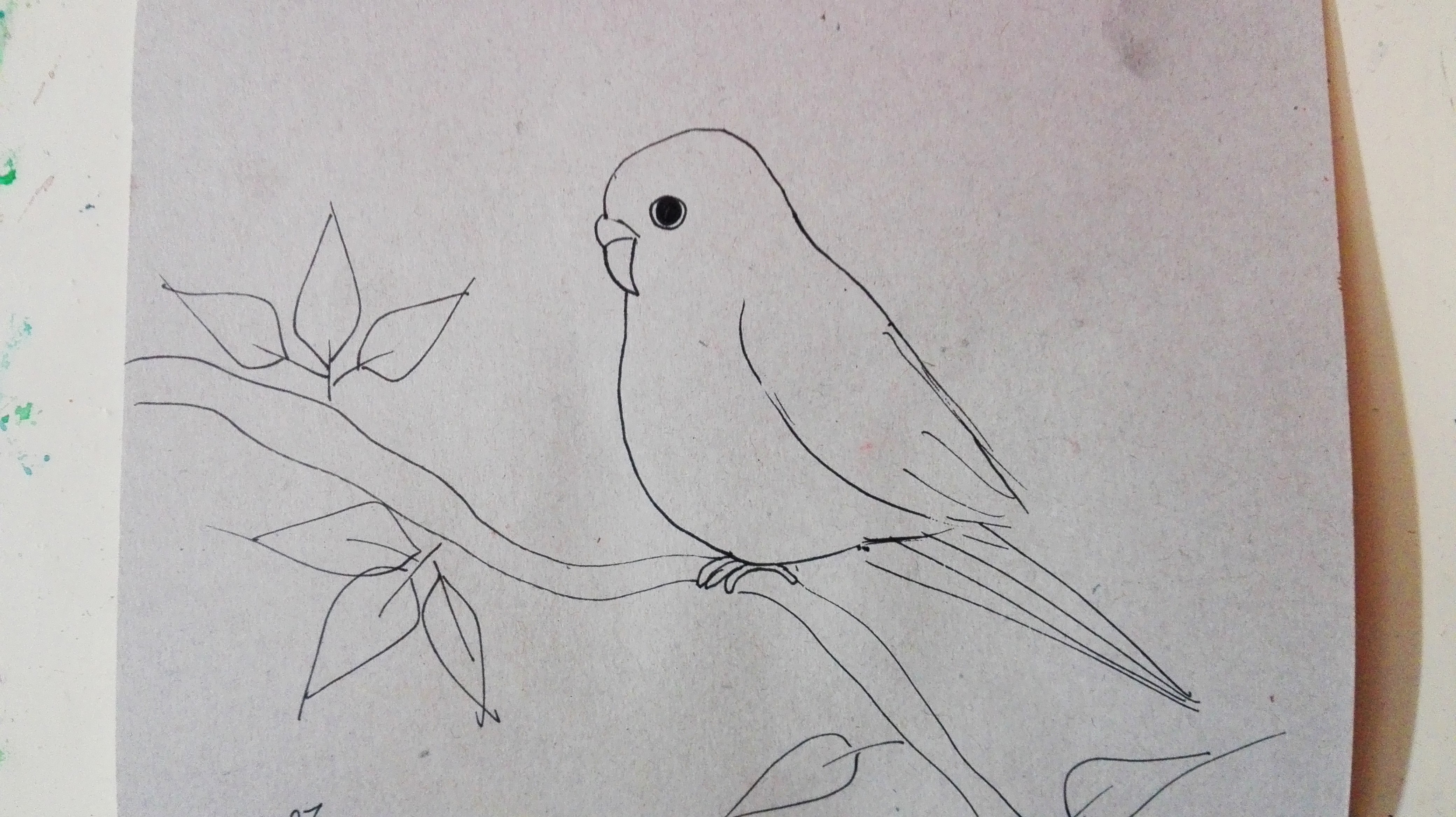 PAINTINGBIRD(57).jpg