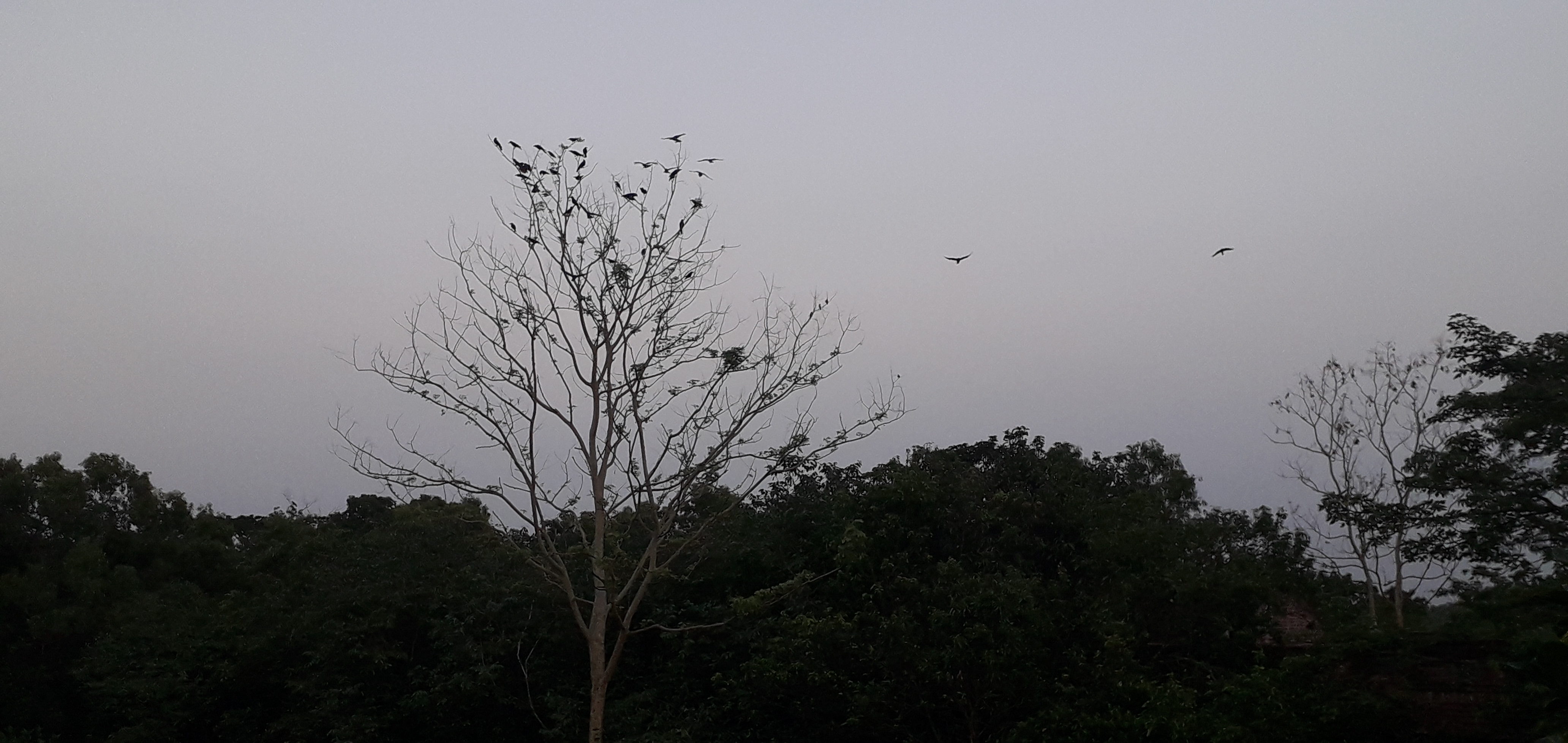 20190604_185210.jpg