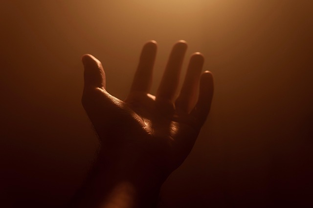 hand-5978545_640.jpg