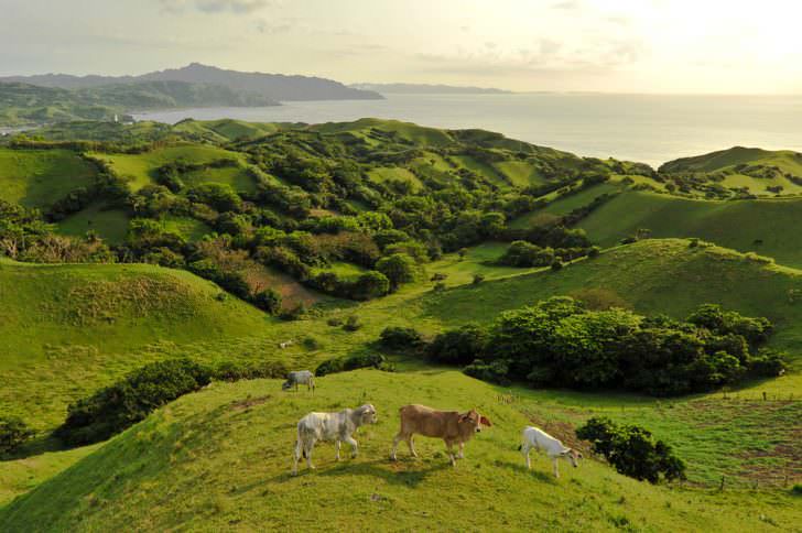 Head-to-Batanes-the-Philippines’-last-frontier-728x484.jpg