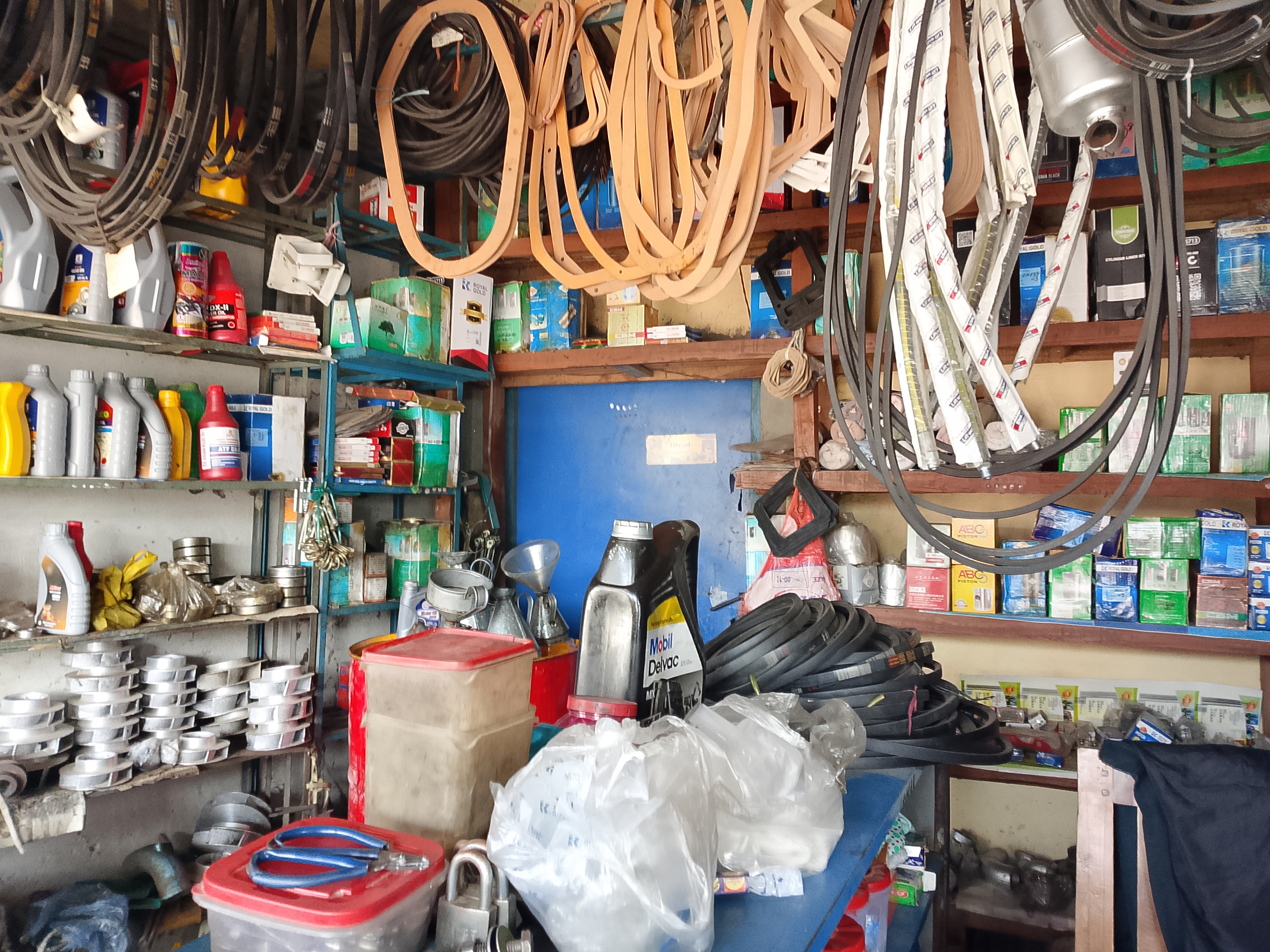 1000061669.jpg