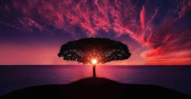 Screenshot_20220112-032134_Chrome.jpg