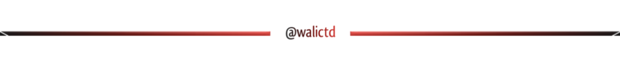 logowalictd.png