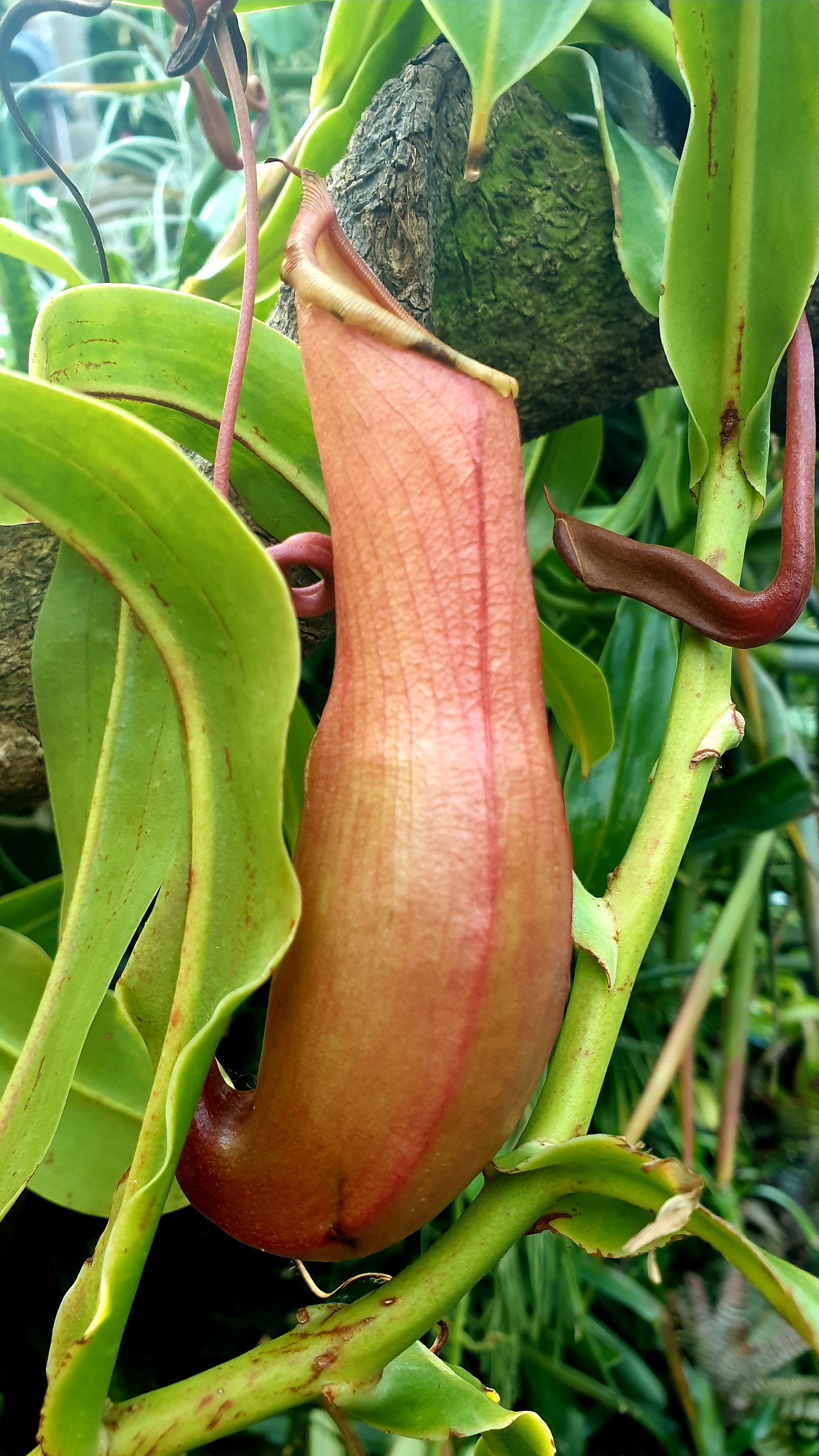 20190823_102855.jpg