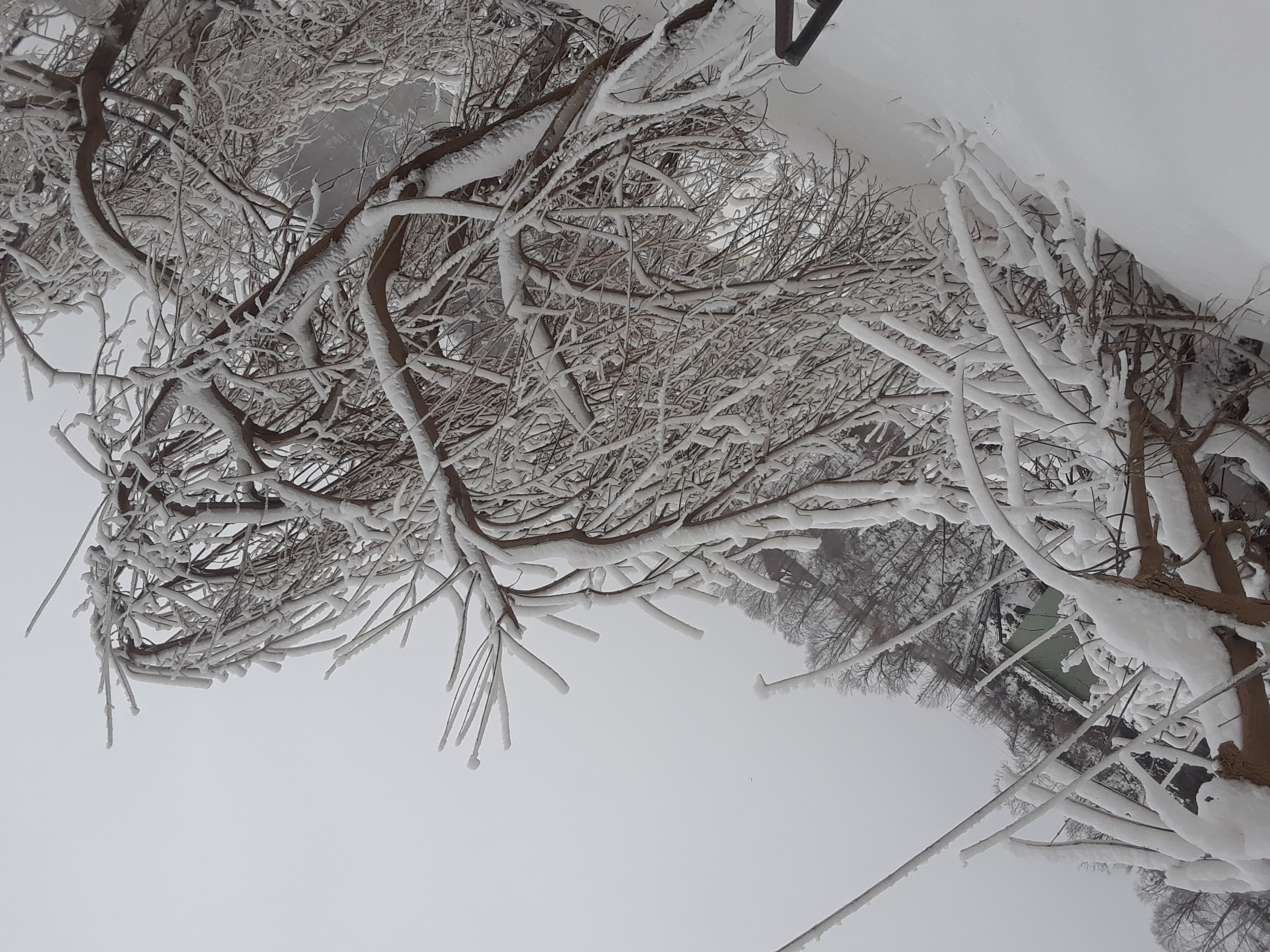 20190303_163935.jpg