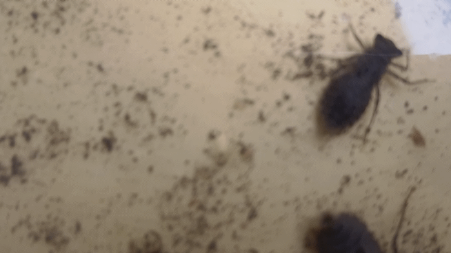 1000174157.gif
