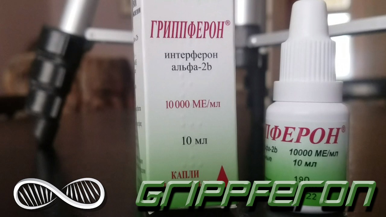 GRIPPFERRON 1280.jpg