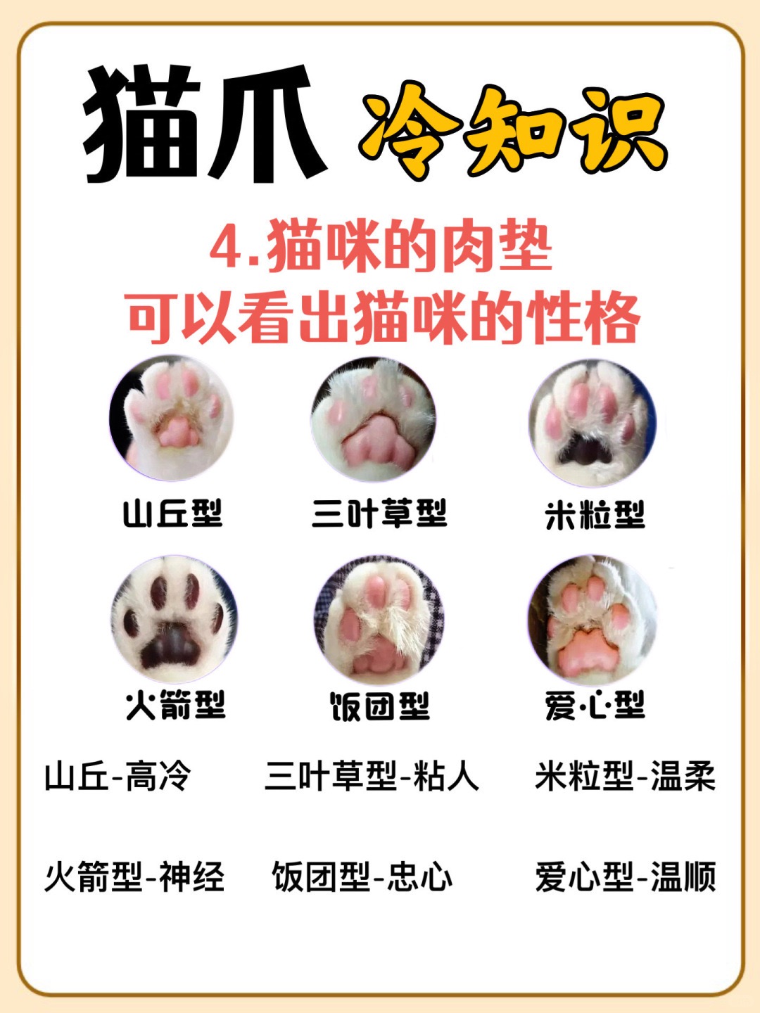 猫爪的秘密:你不知道的冷知识‼_5.jpg
