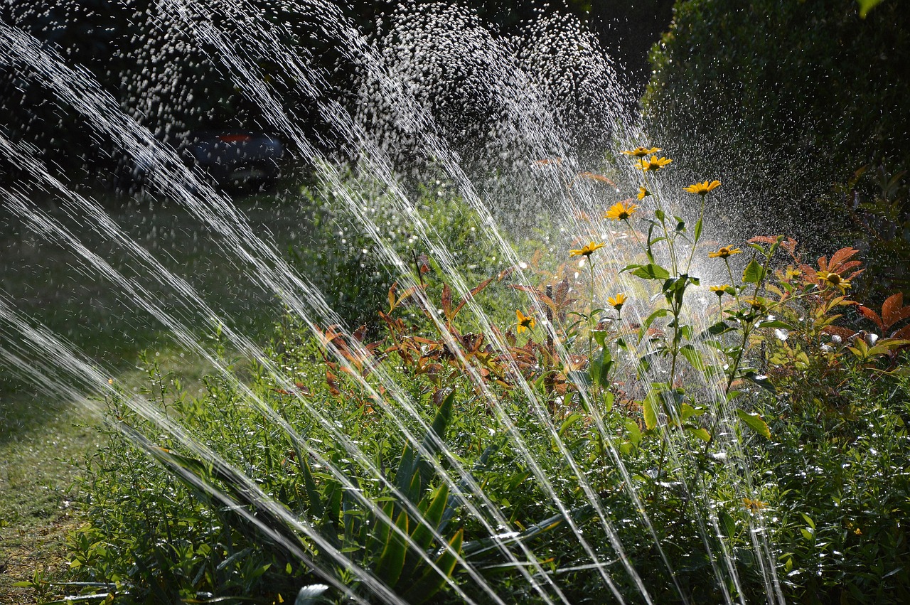 garden-3664278_1280.jpg