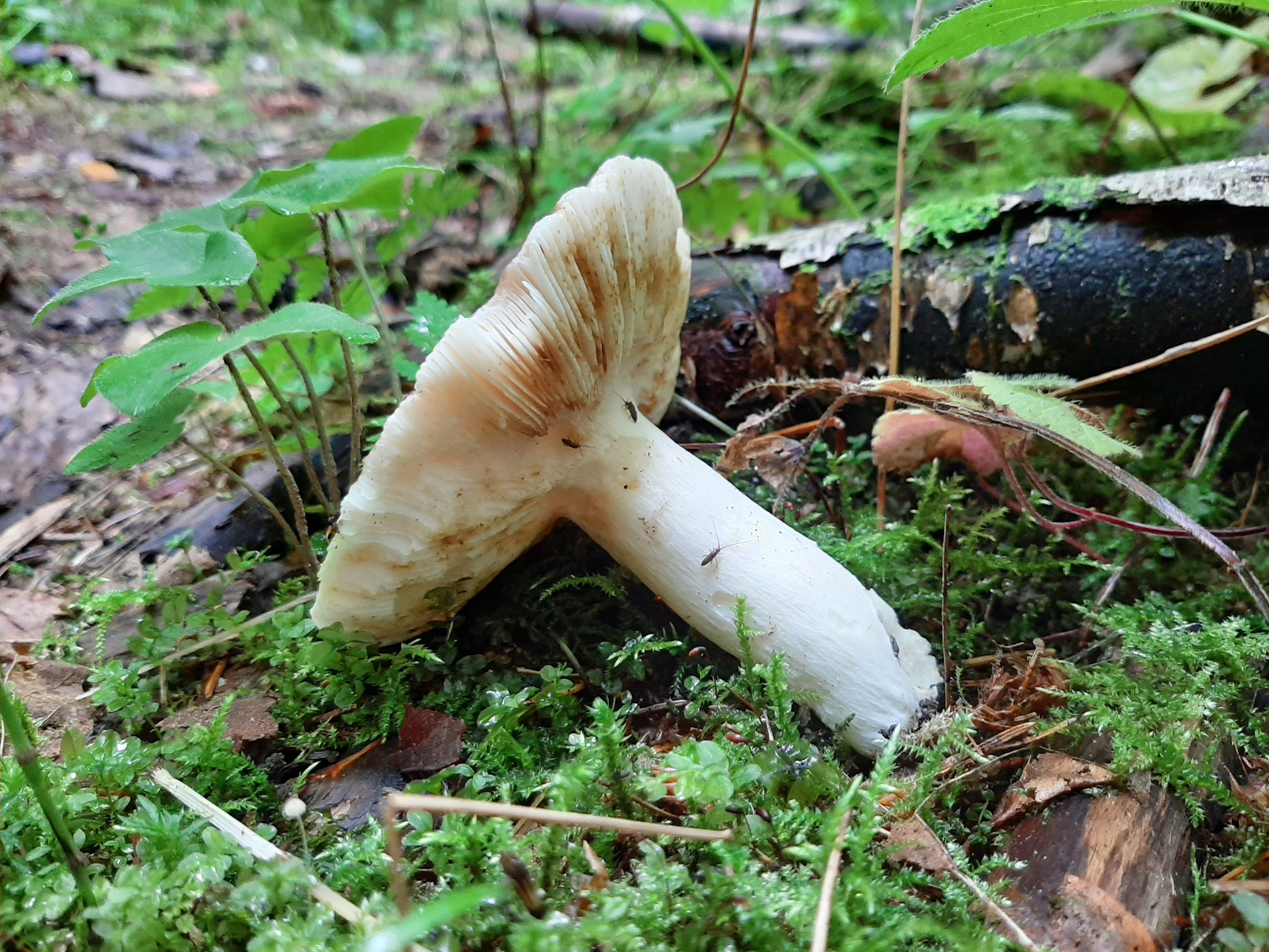 20260726_110240.jpg