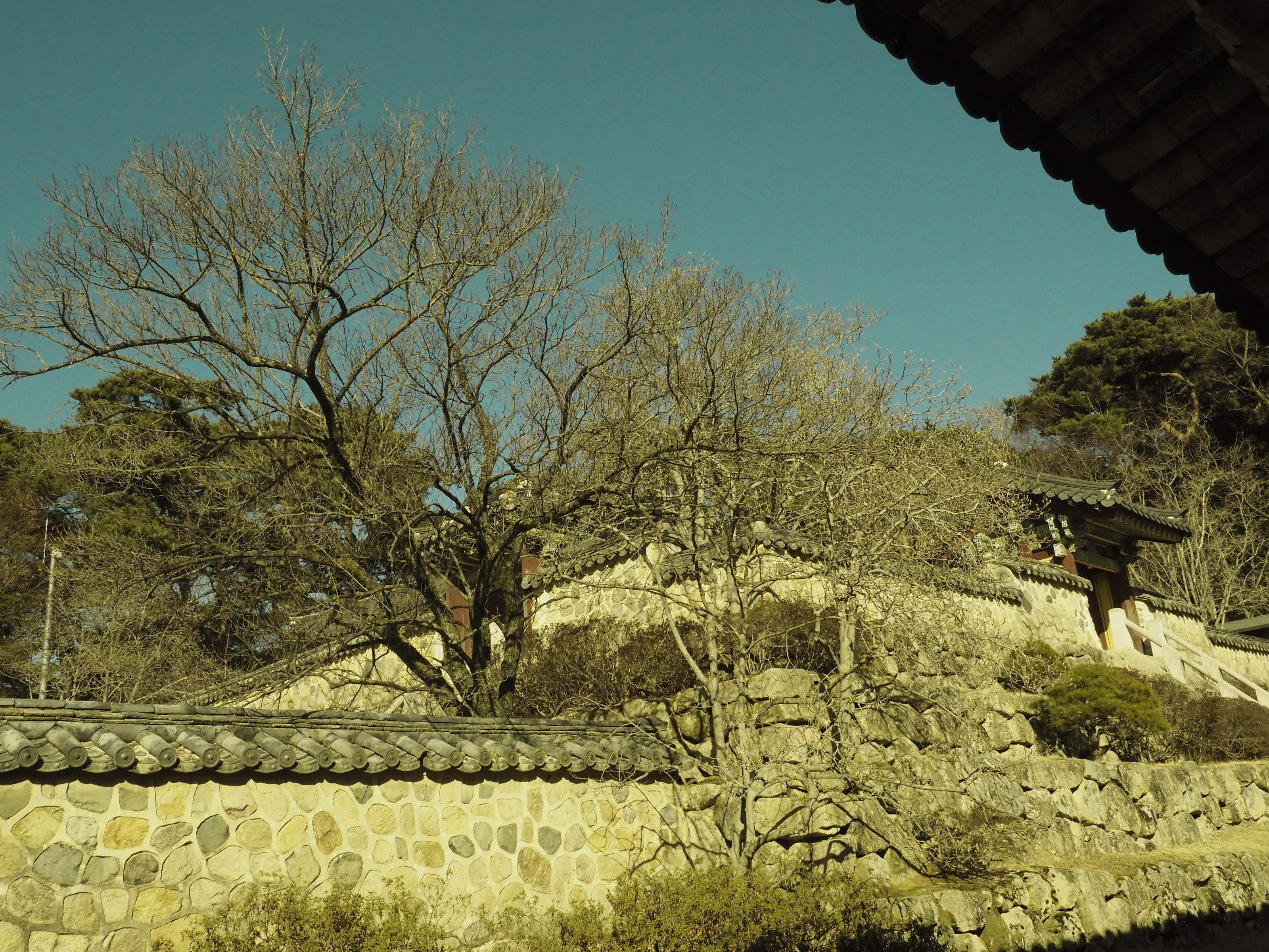 (올드스톤의 느끼는 여행이야기) 나만의 장소, 불국사의 무설당 뒷마당에서