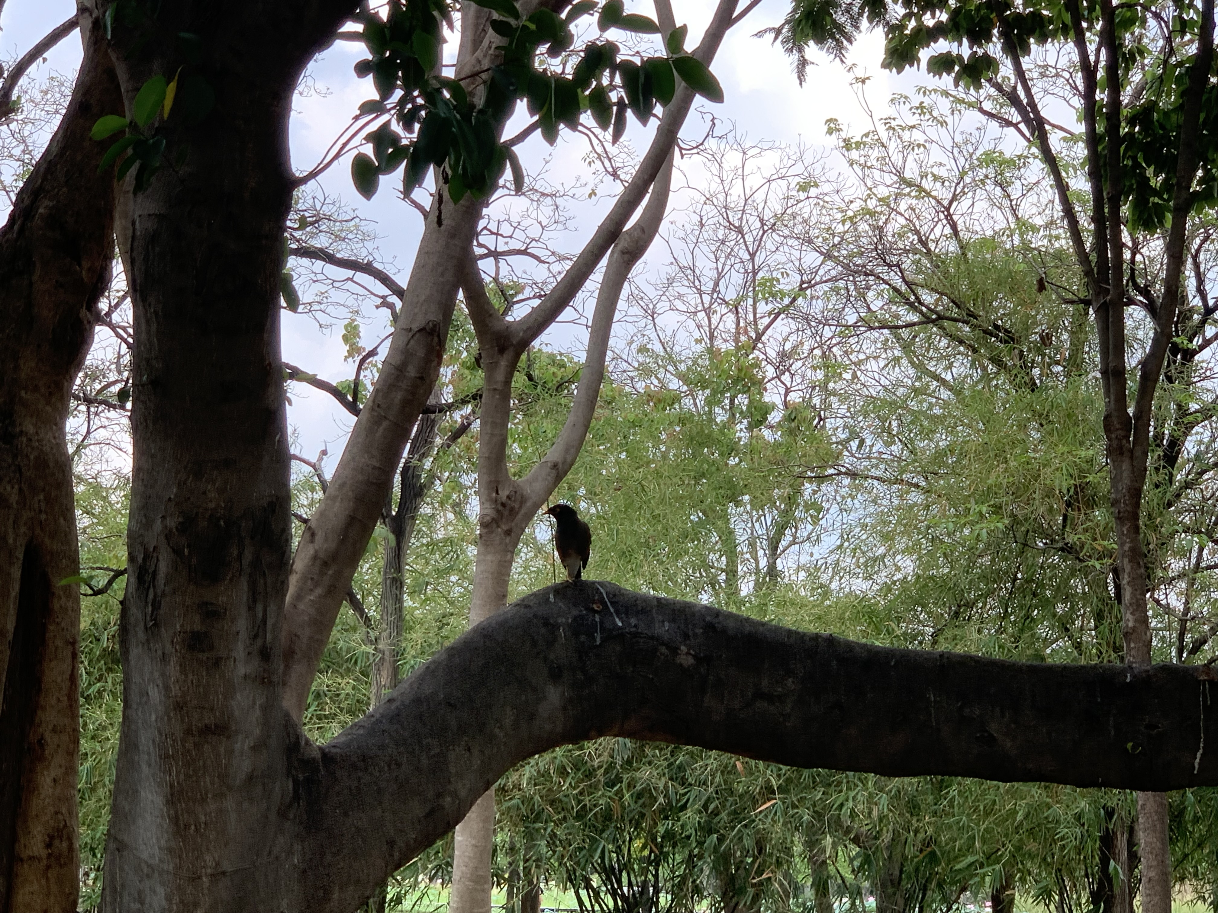 birdwatching spots30.jpg