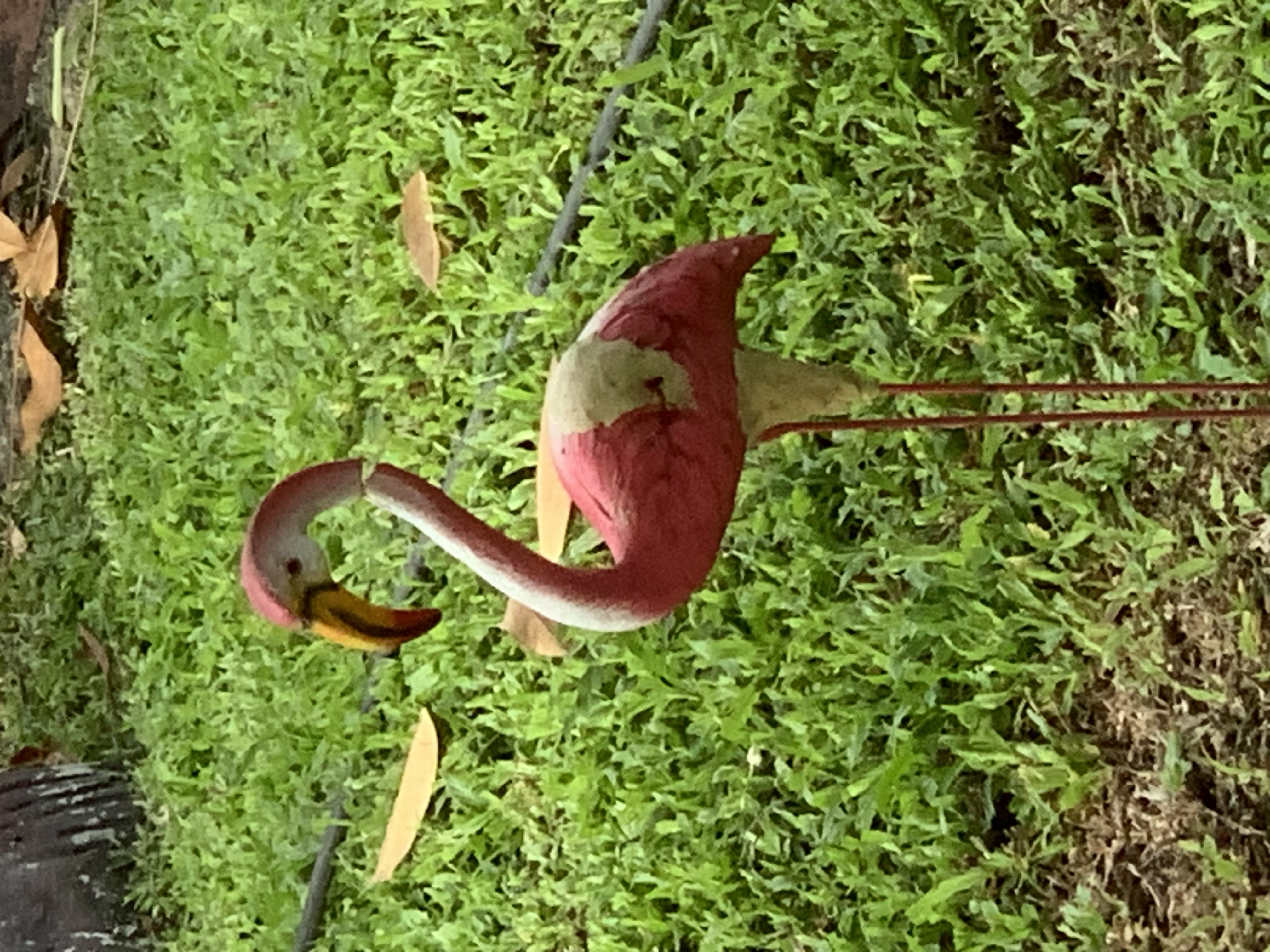 sculpture6.jpg