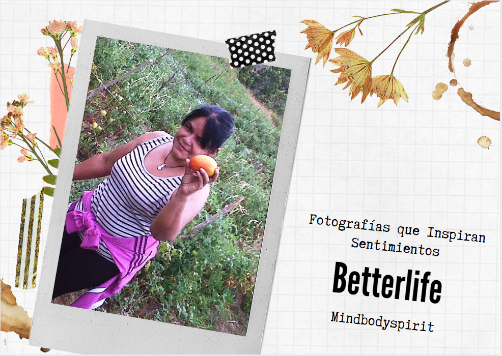 Sin título01.png