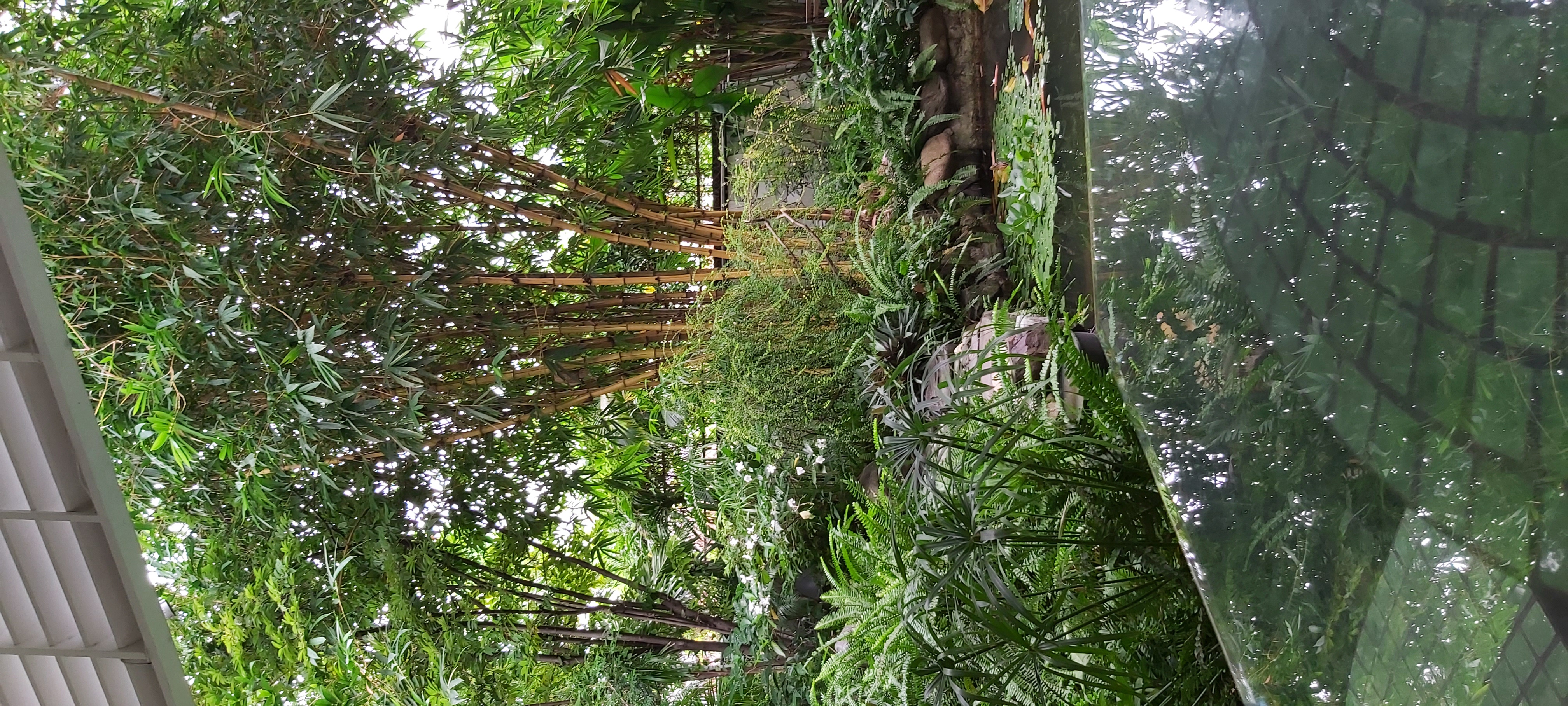 20201006_114255.jpg