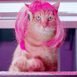 B356BA37-EB49-4633-8744-61E583F7E14A.gif