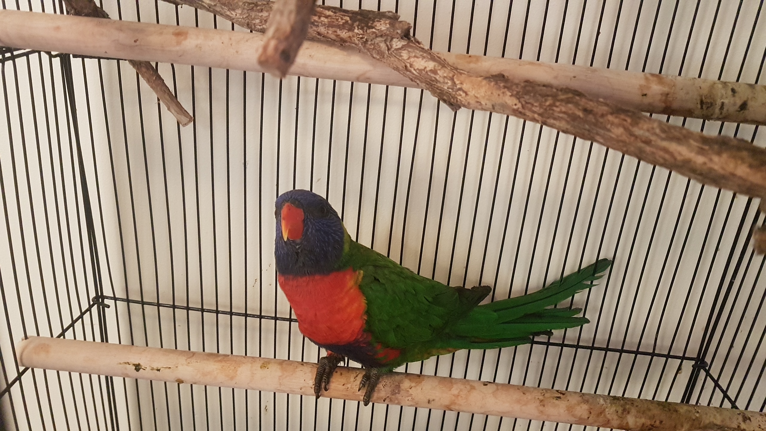 20190302_084135.jpg