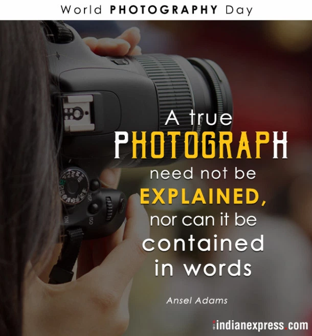 world-photography-day-4.webp