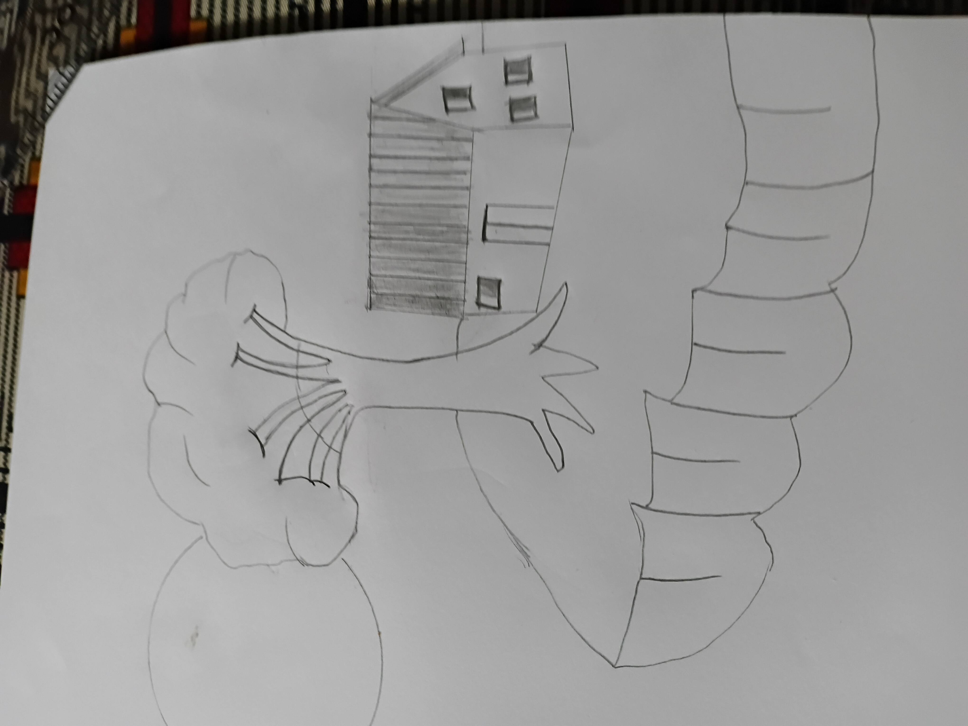 45869.jpg