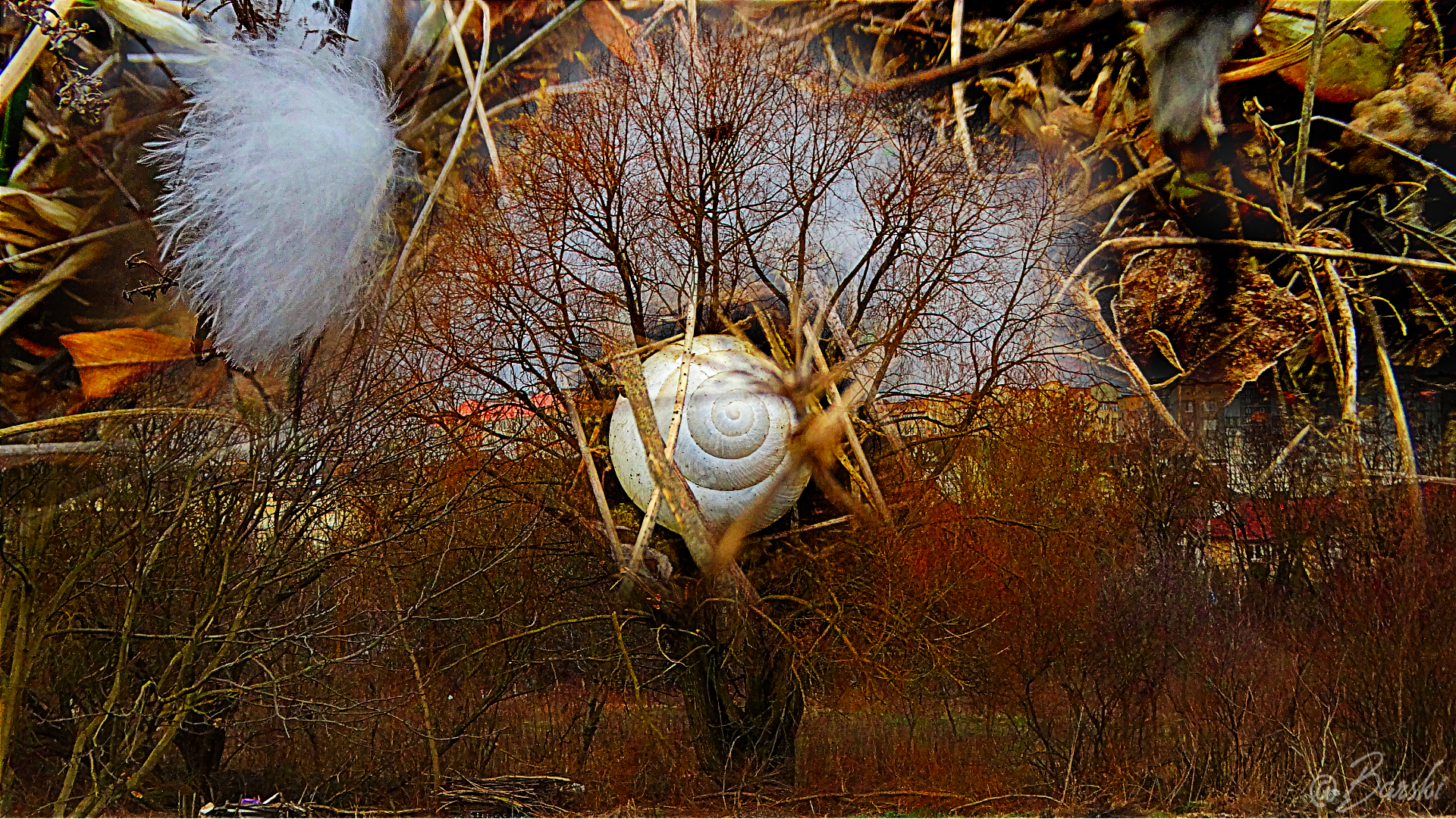 1ertyuidfDSC02956.png
