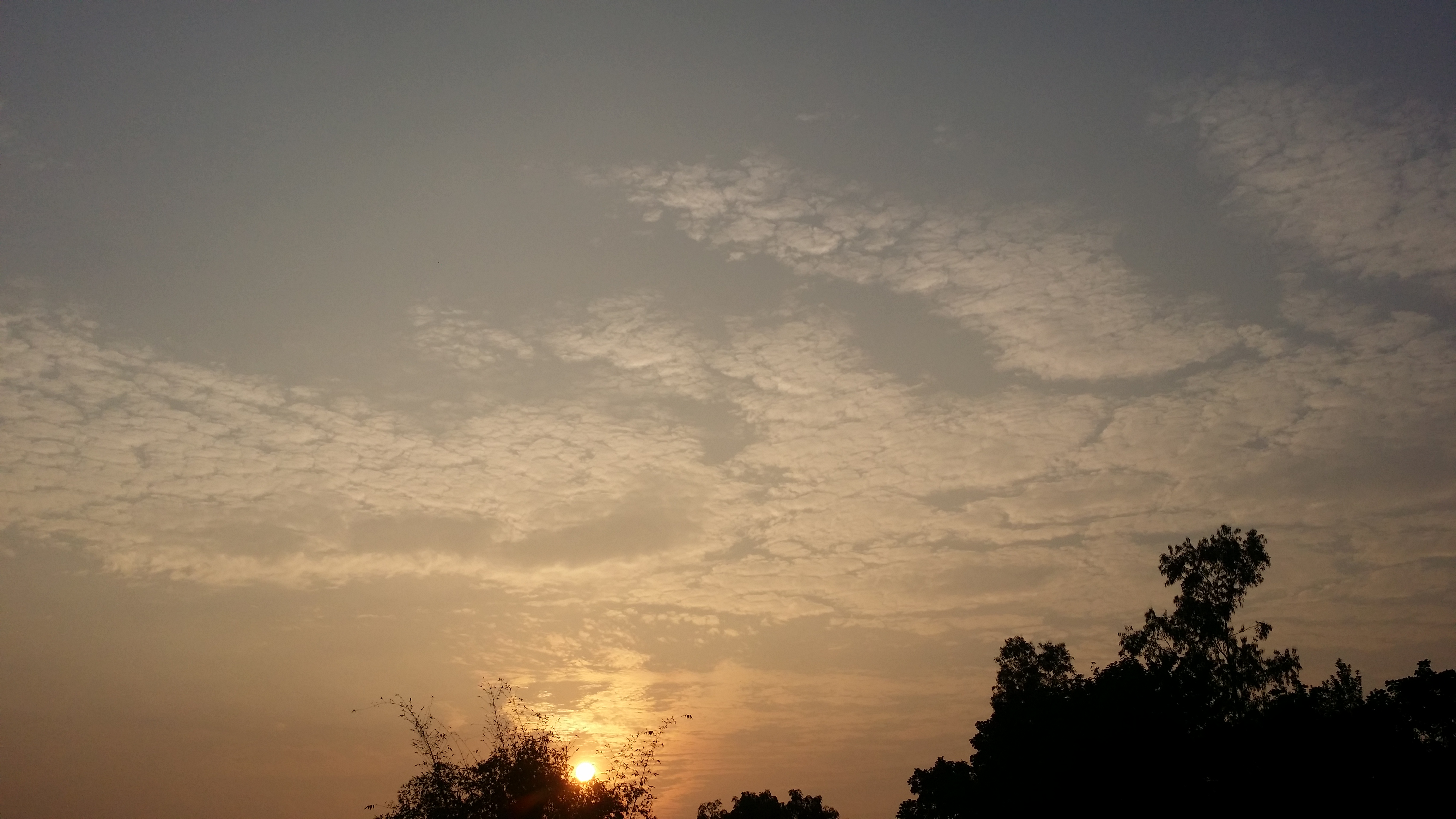 20191101_164028.jpg