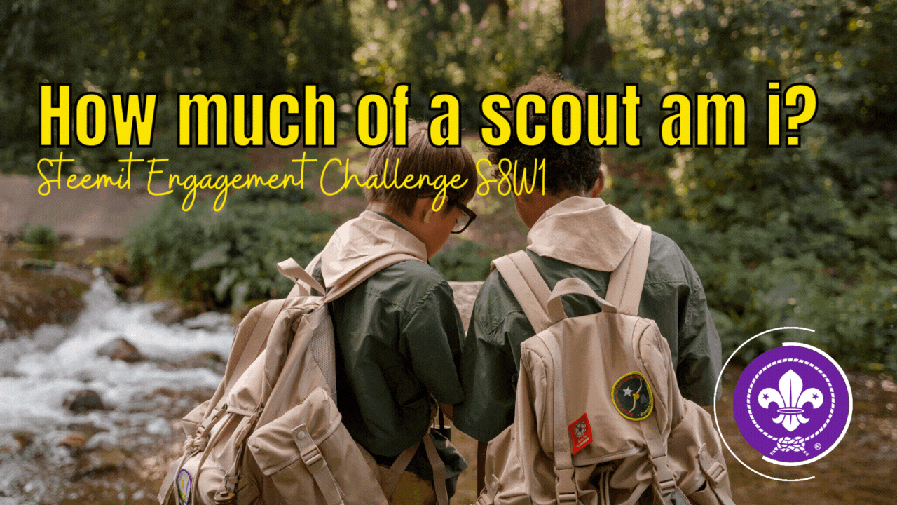 ¿Qué tan Scout soy (1).gif