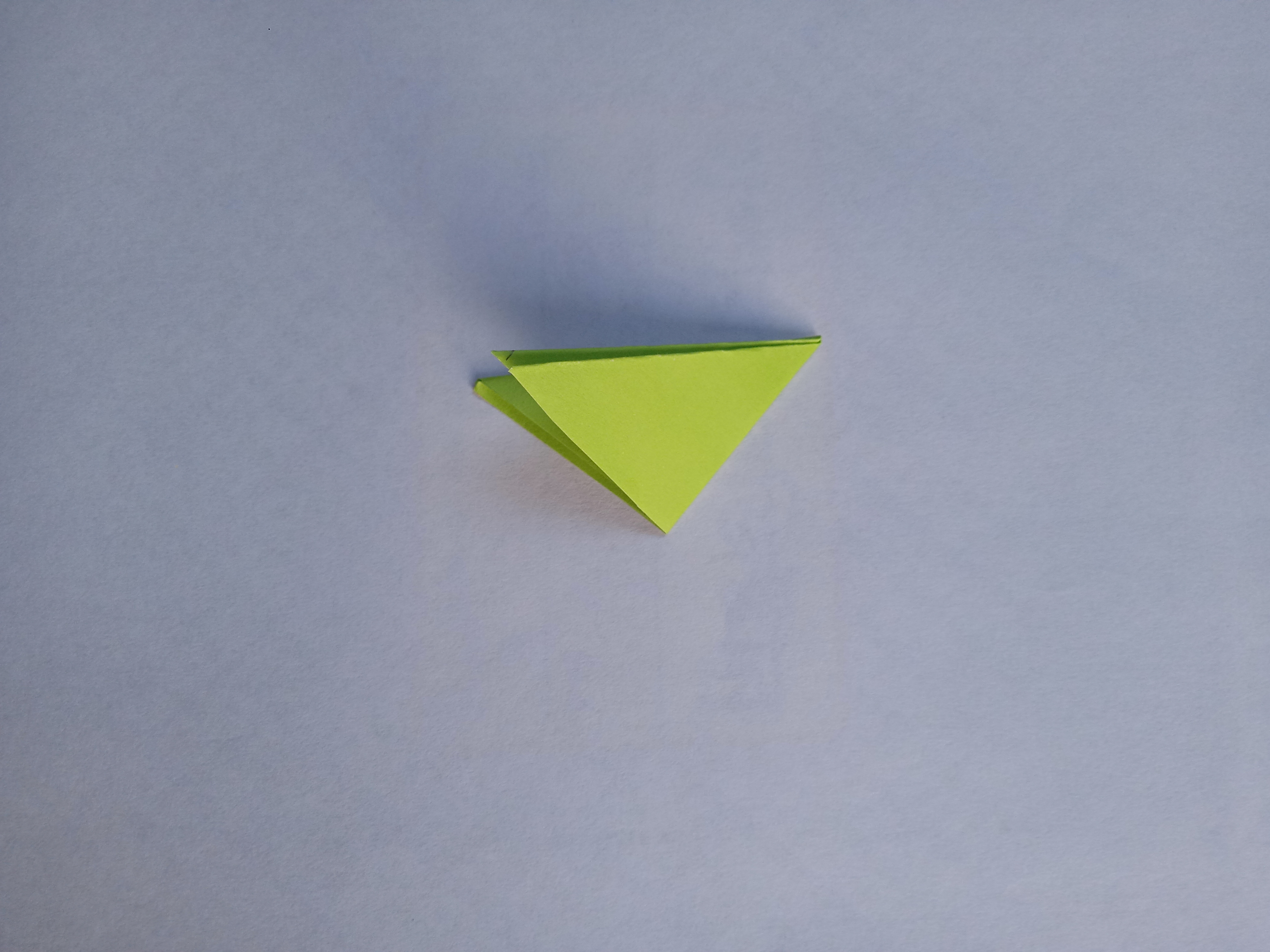 IMG20211028170342.jpg